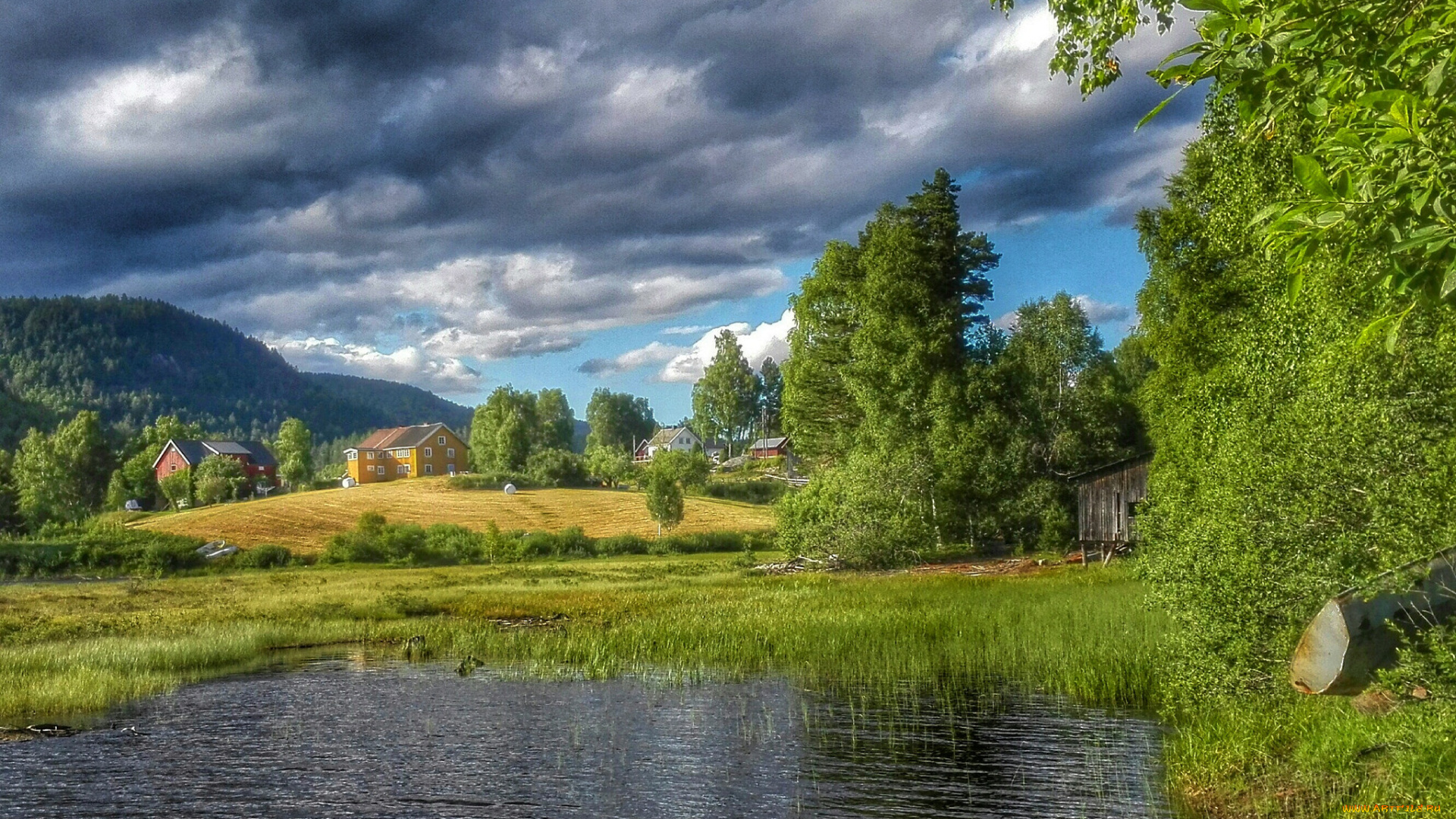 природа, реки, озера, река, лес