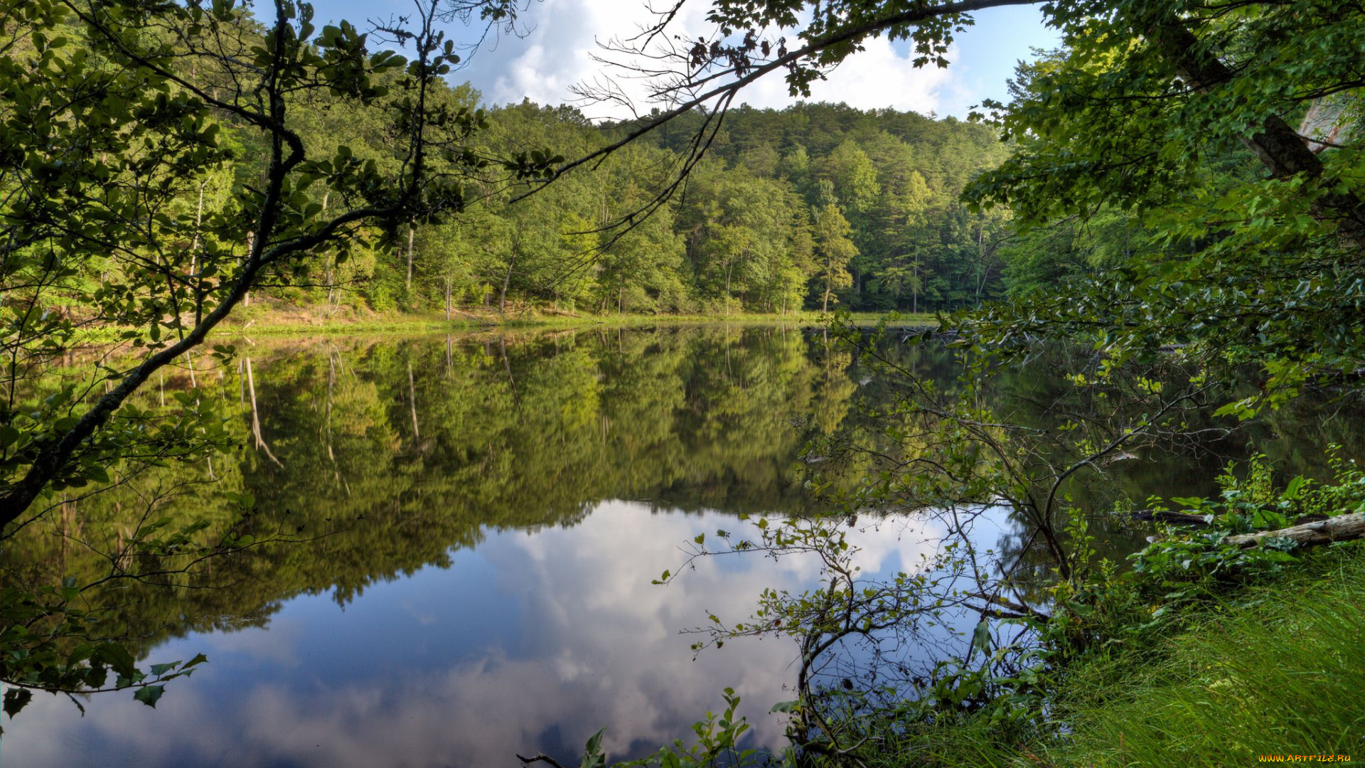 природа, реки, озера, река, лес