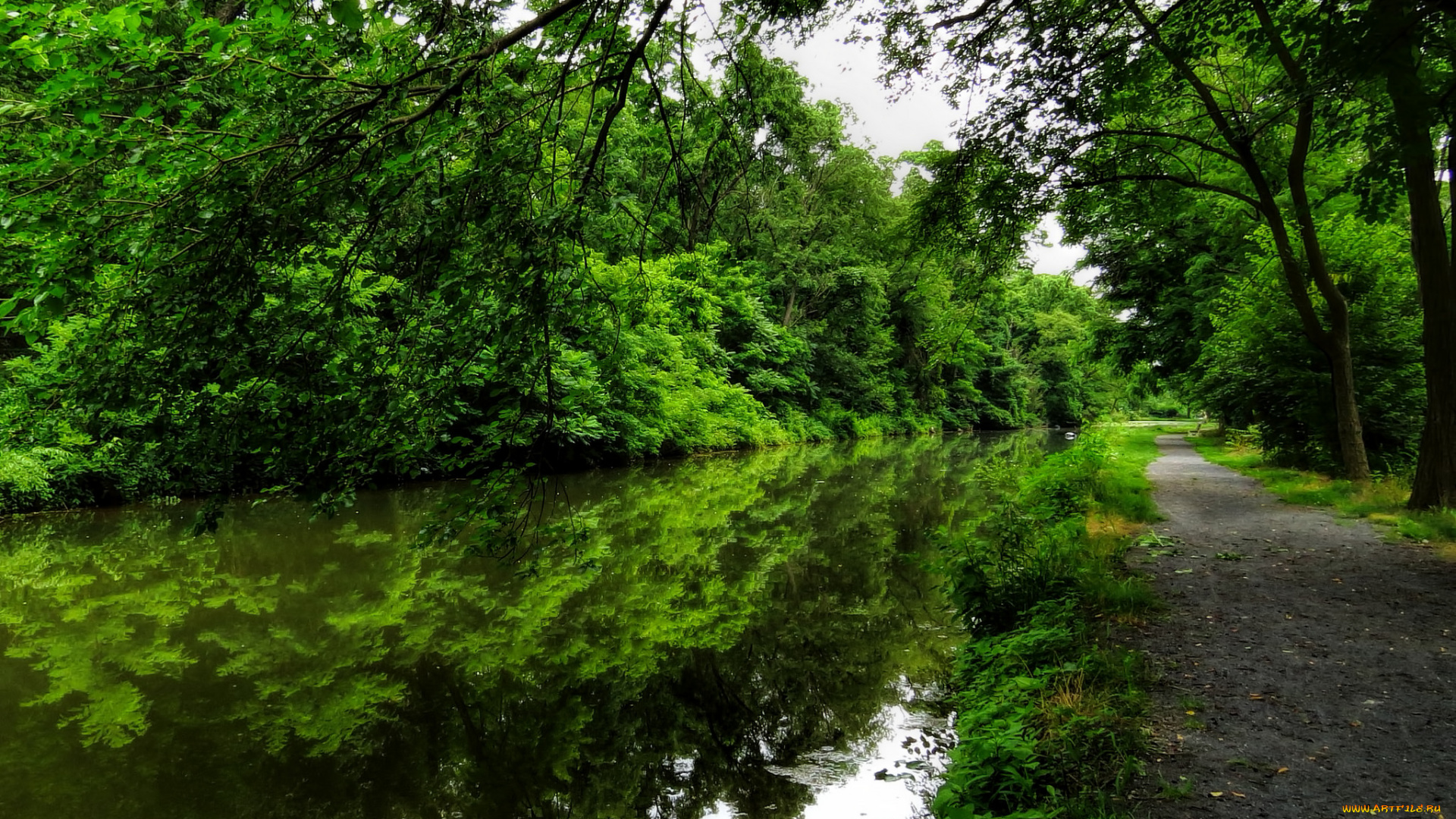 природа, реки, озера, река, лес