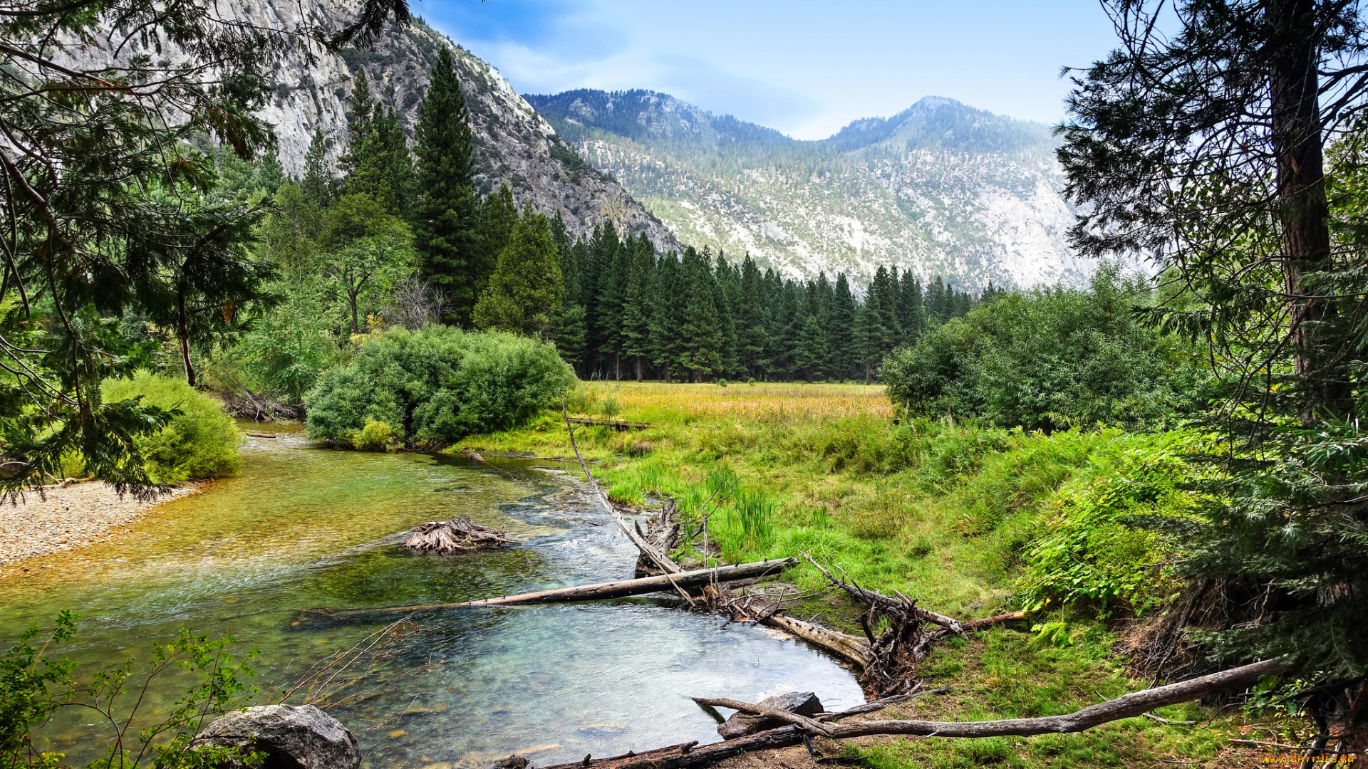 природа, реки, озера, река, лес