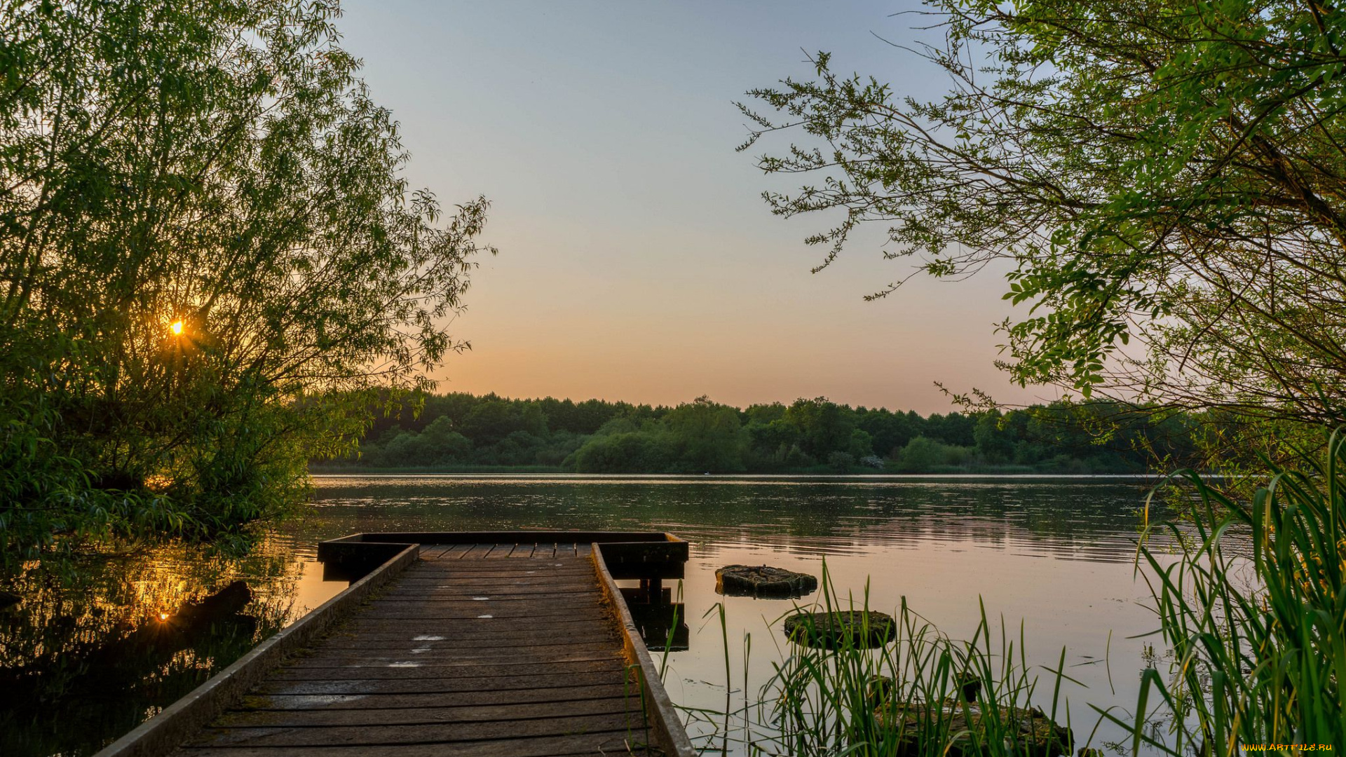 природа, реки, озера, река, лес