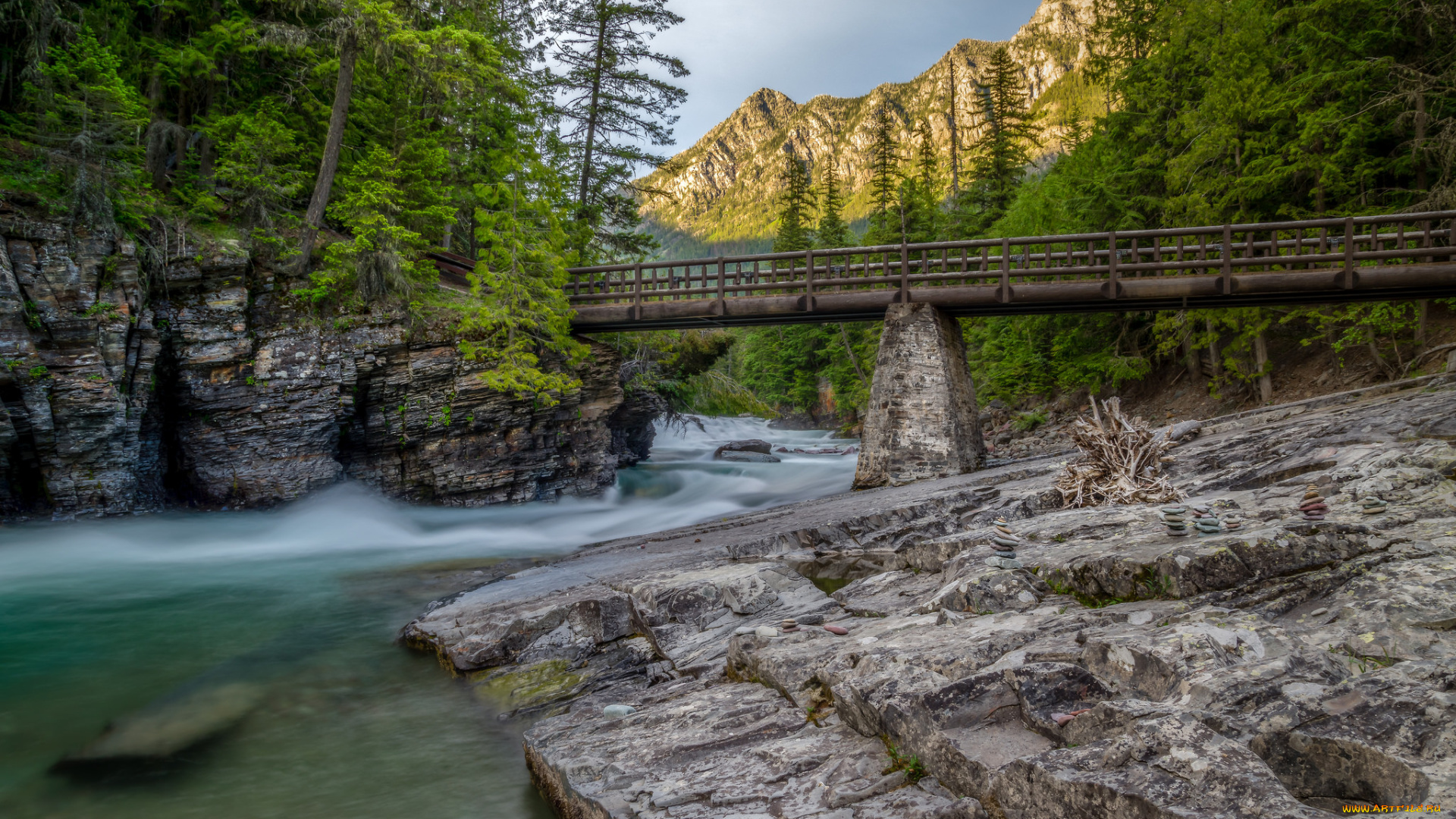 природа, реки, озера, река, лес