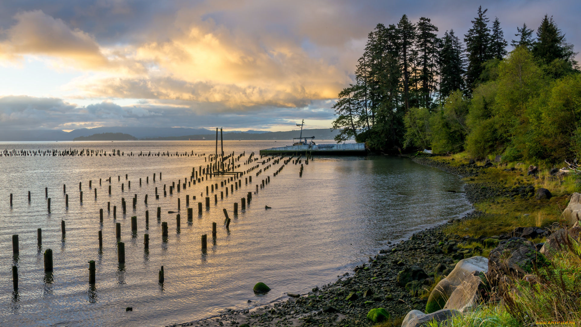 природа, реки, озера, река, лес