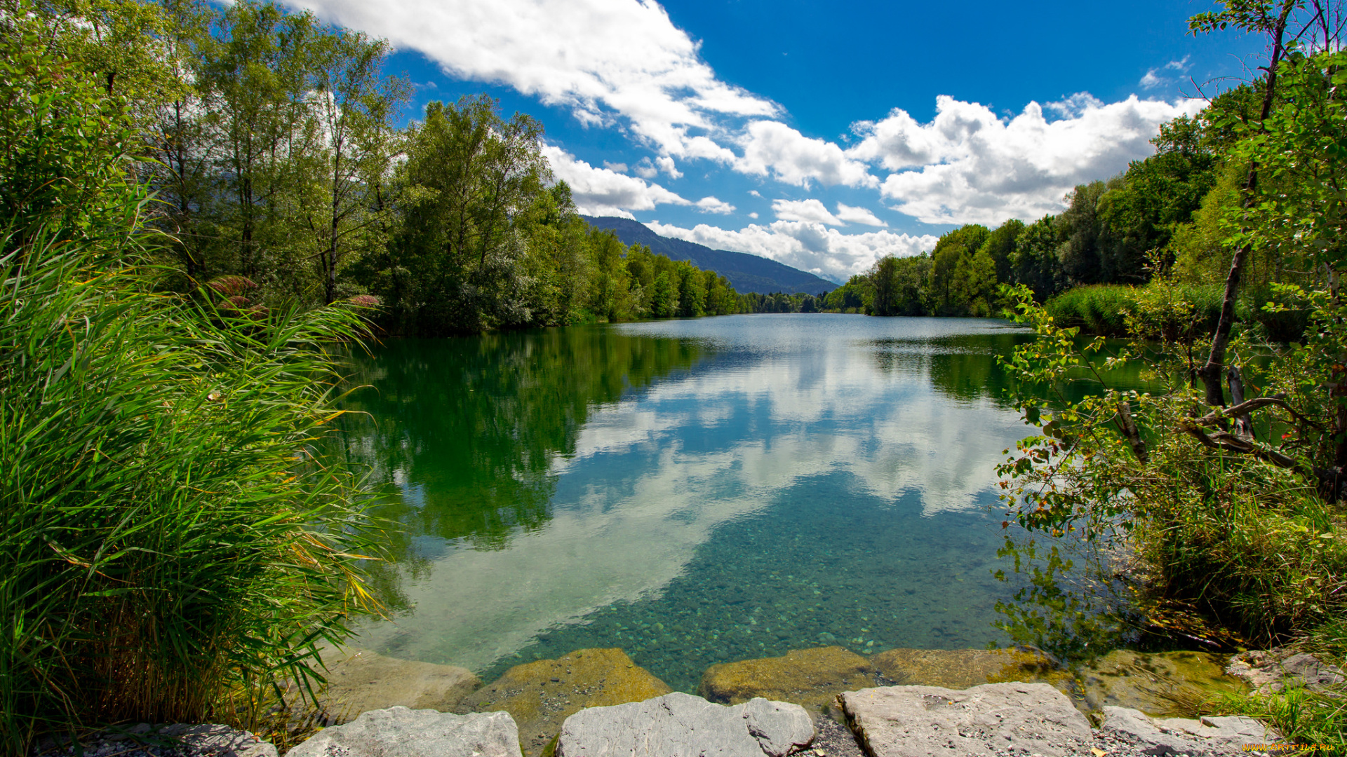 природа, реки, озера, река, лес