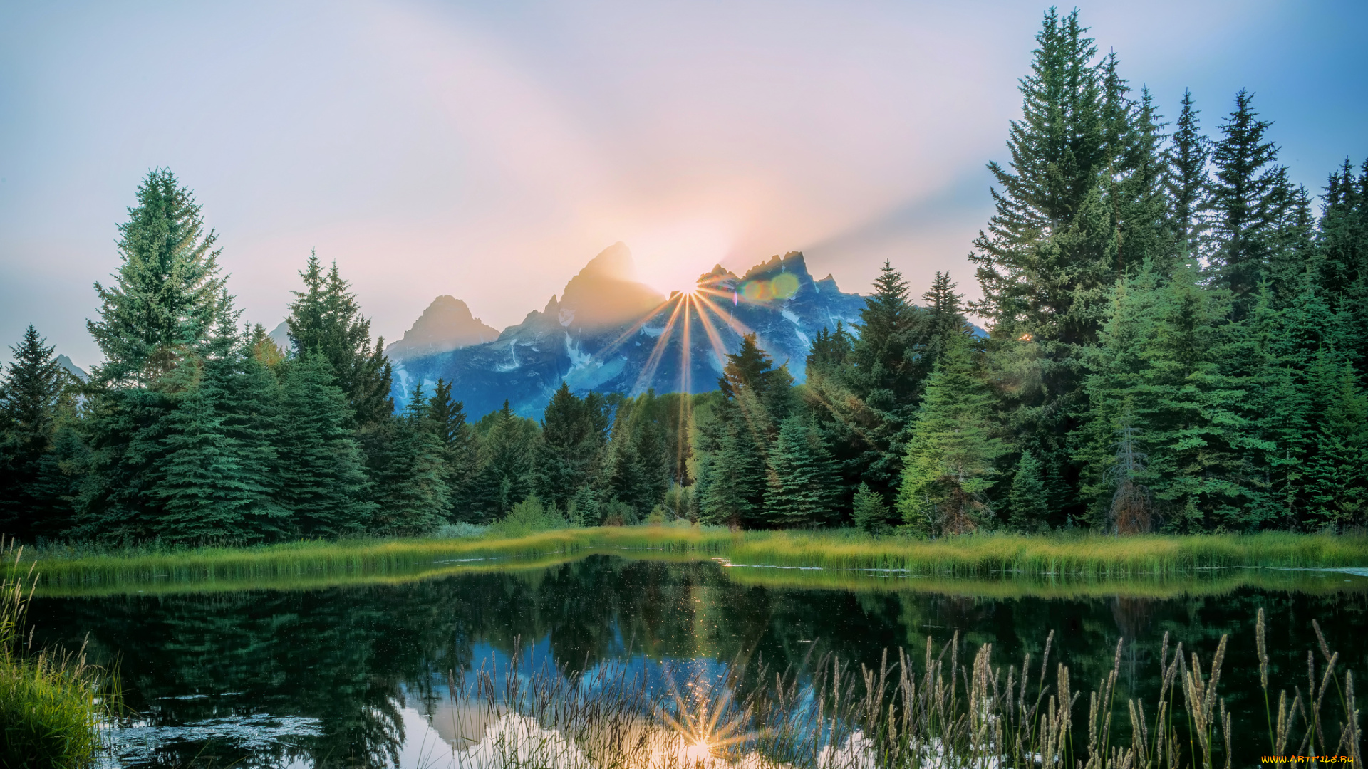 природа, реки, озера, река, лес