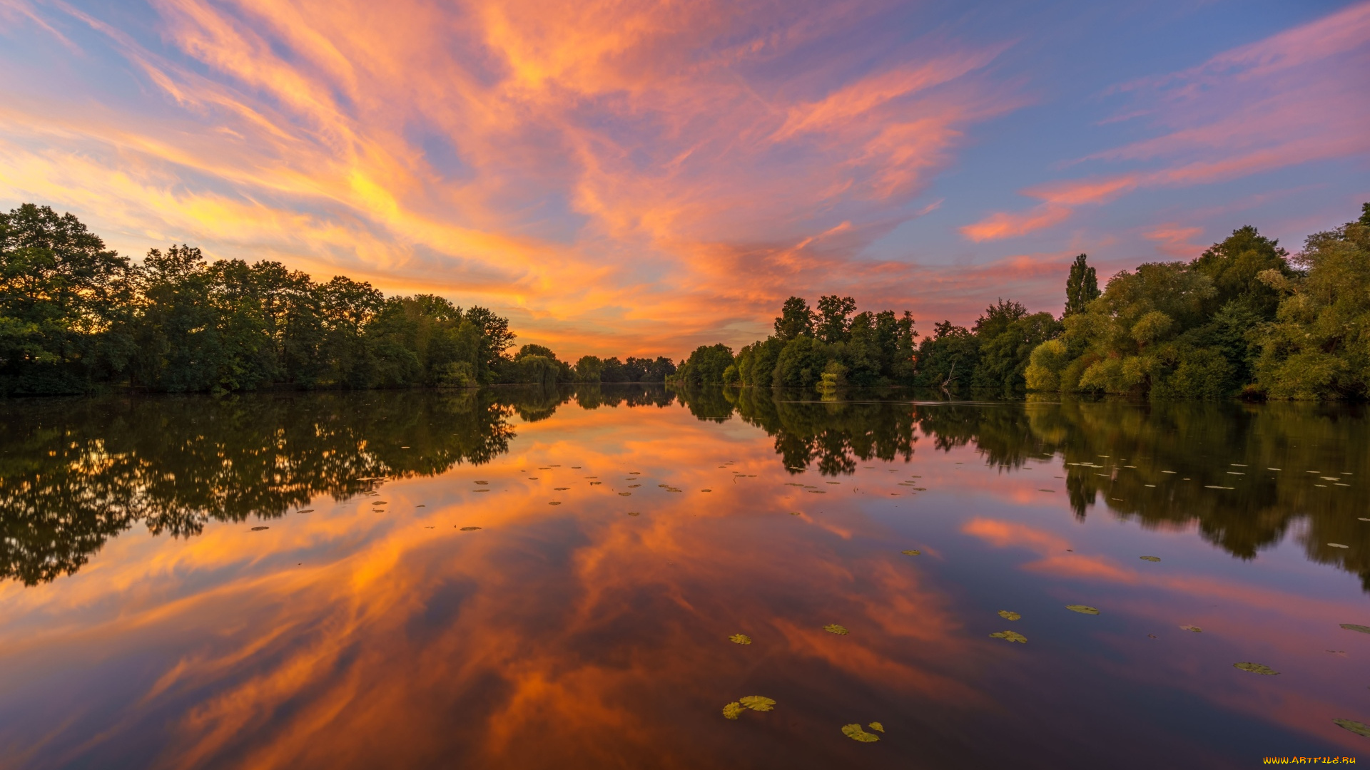 природа, восходы, закаты, закат, деревья, река