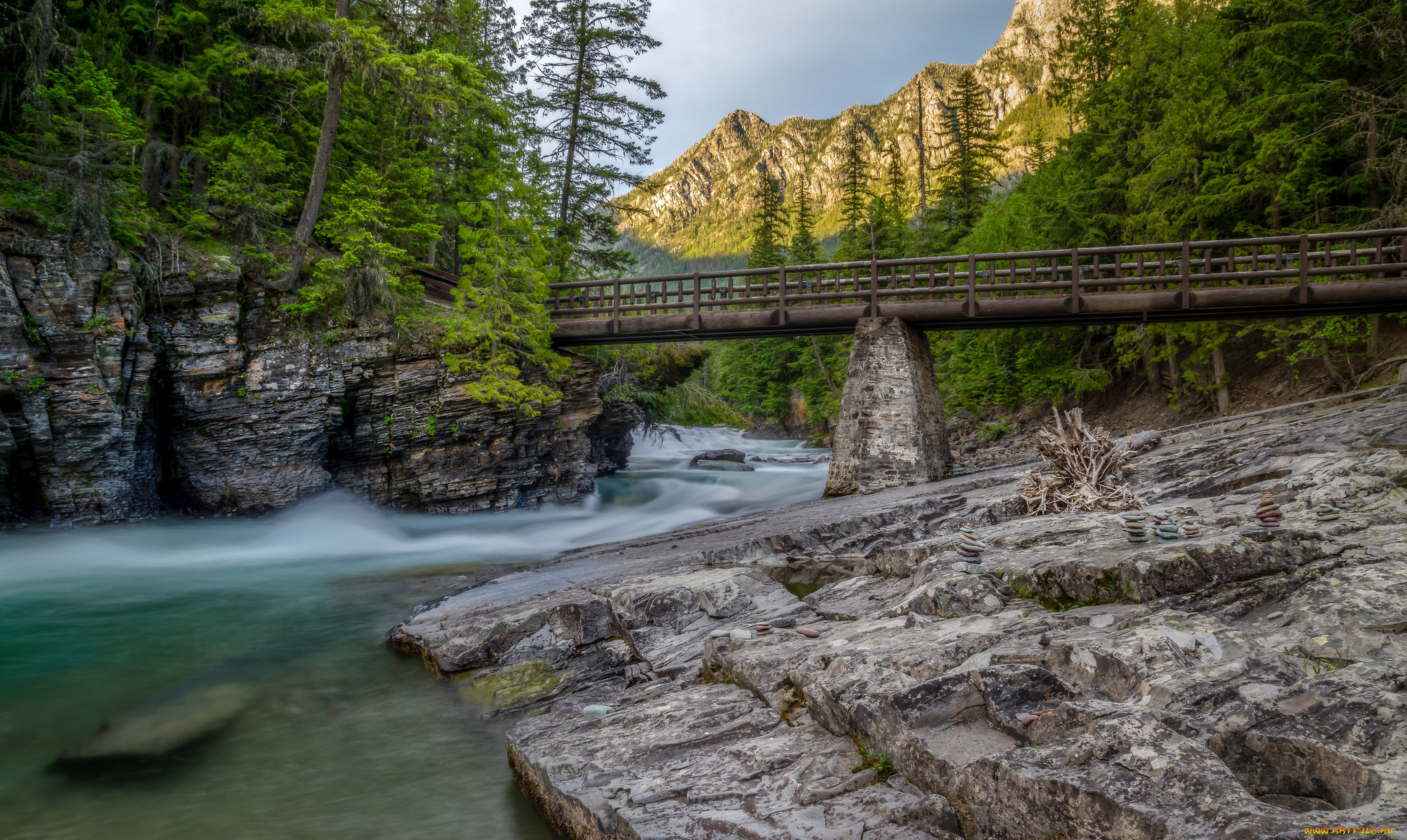 природа, реки, озера, река, лес