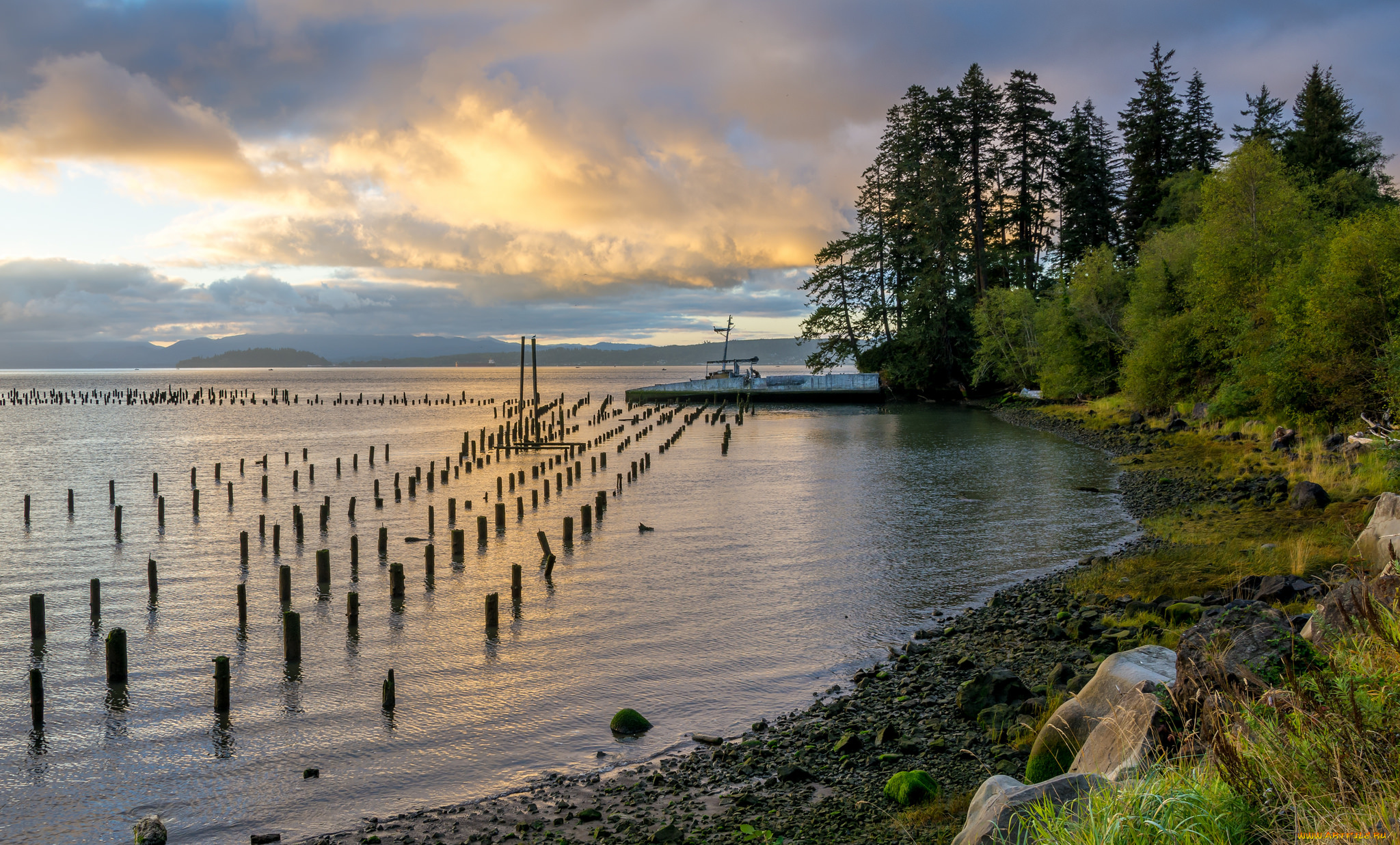 природа, реки, озера, река, лес