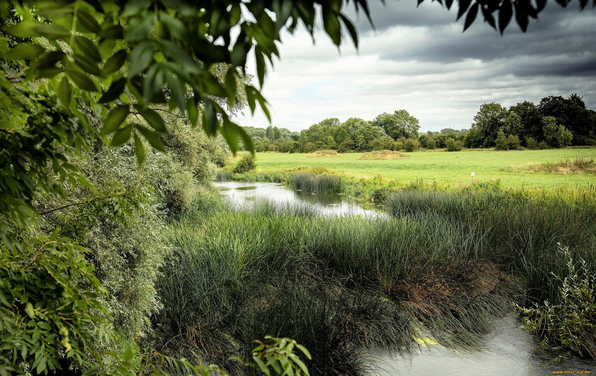 природа, реки, озера, река, лес