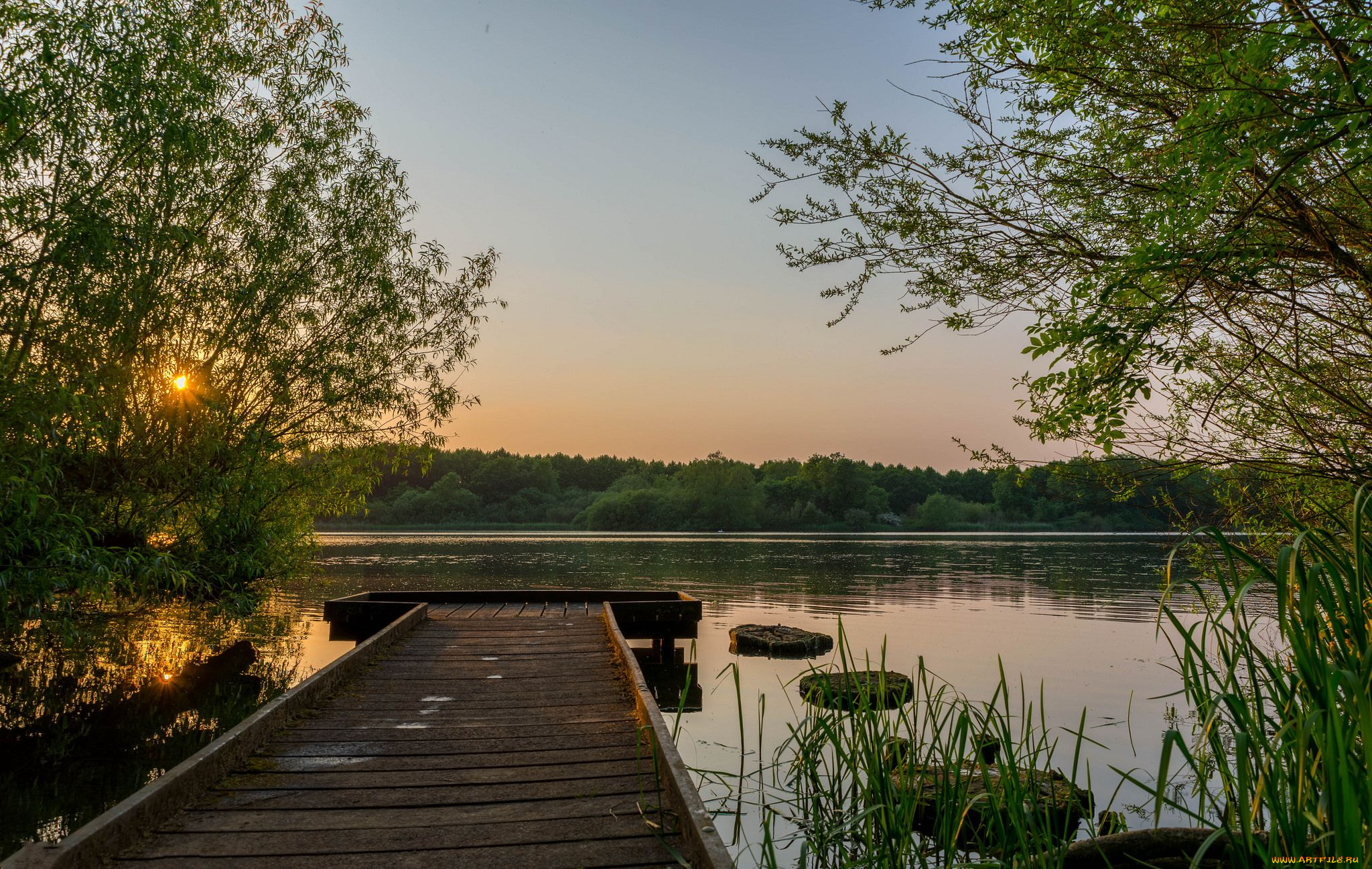 природа, реки, озера, река, лес