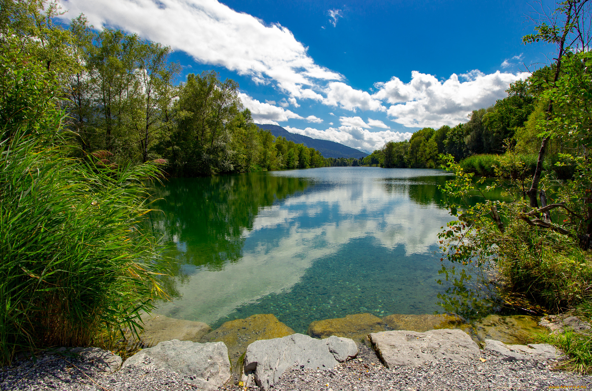 природа, реки, озера, река, лес