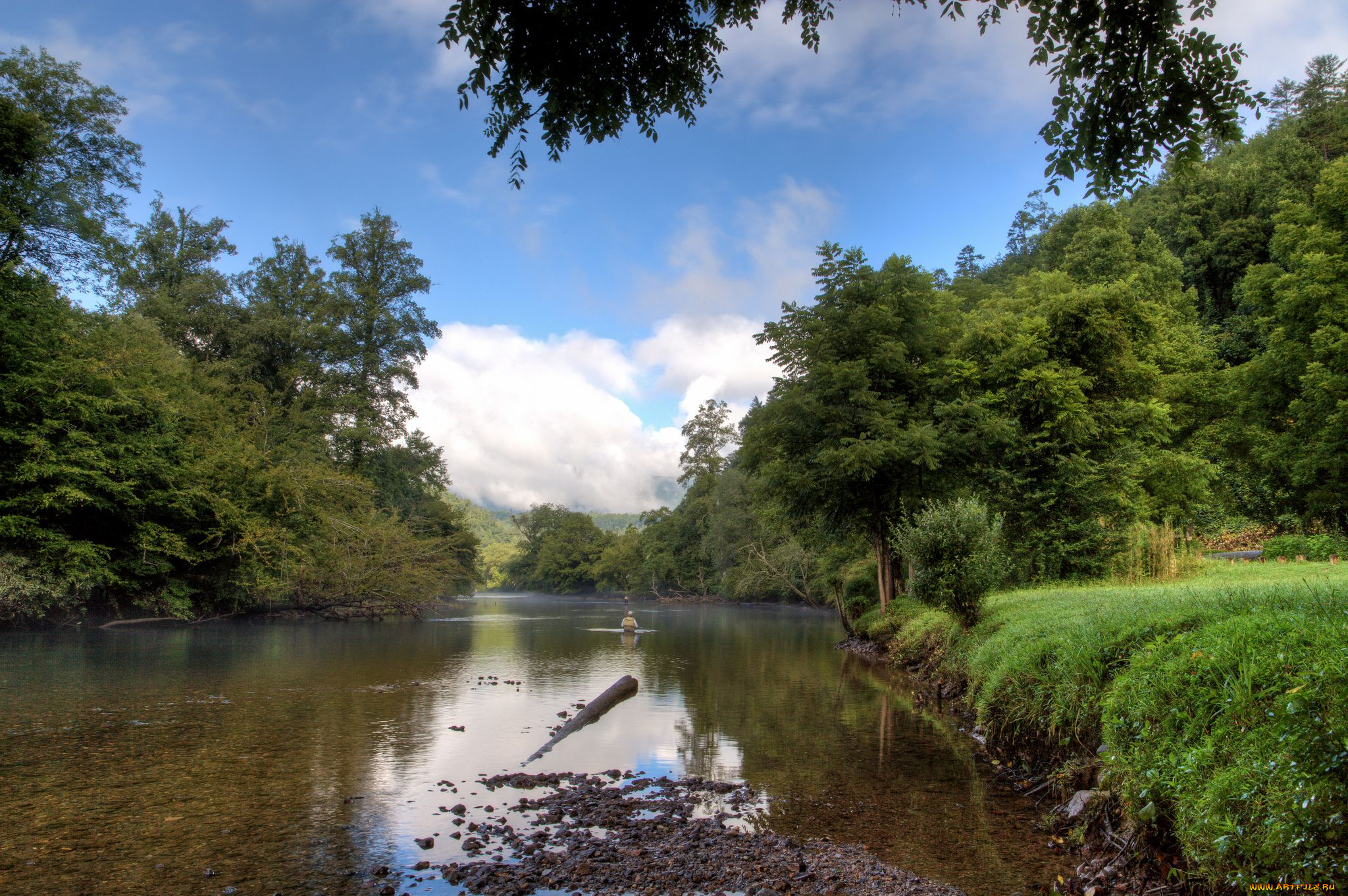 природа, реки, озера, лес, река