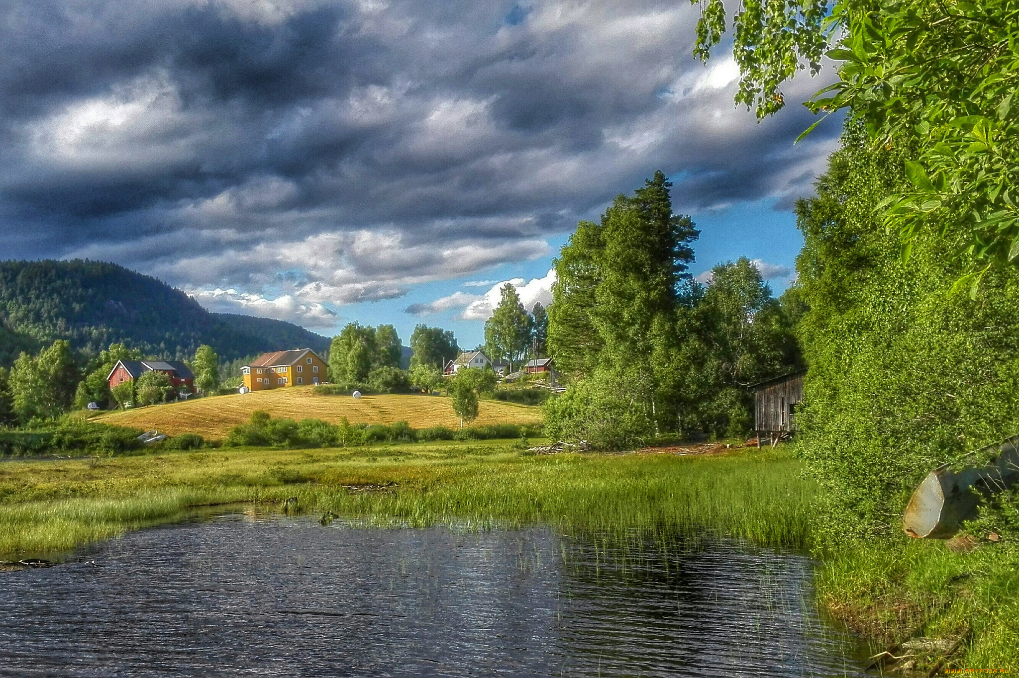 природа, реки, озера, река, лес