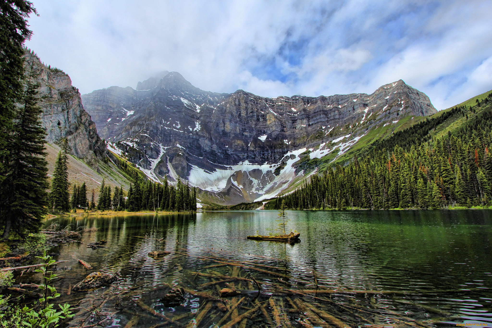 природа, реки, озера, лес, река