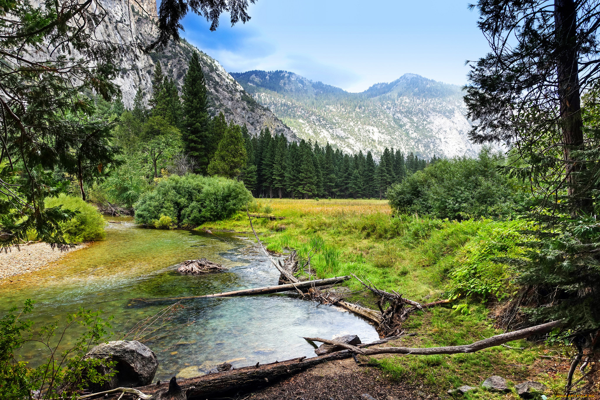 природа, реки, озера, река, лес