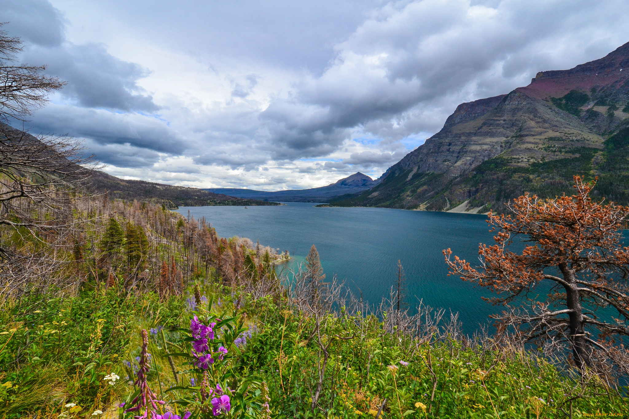 природа, реки, озера, река, лес