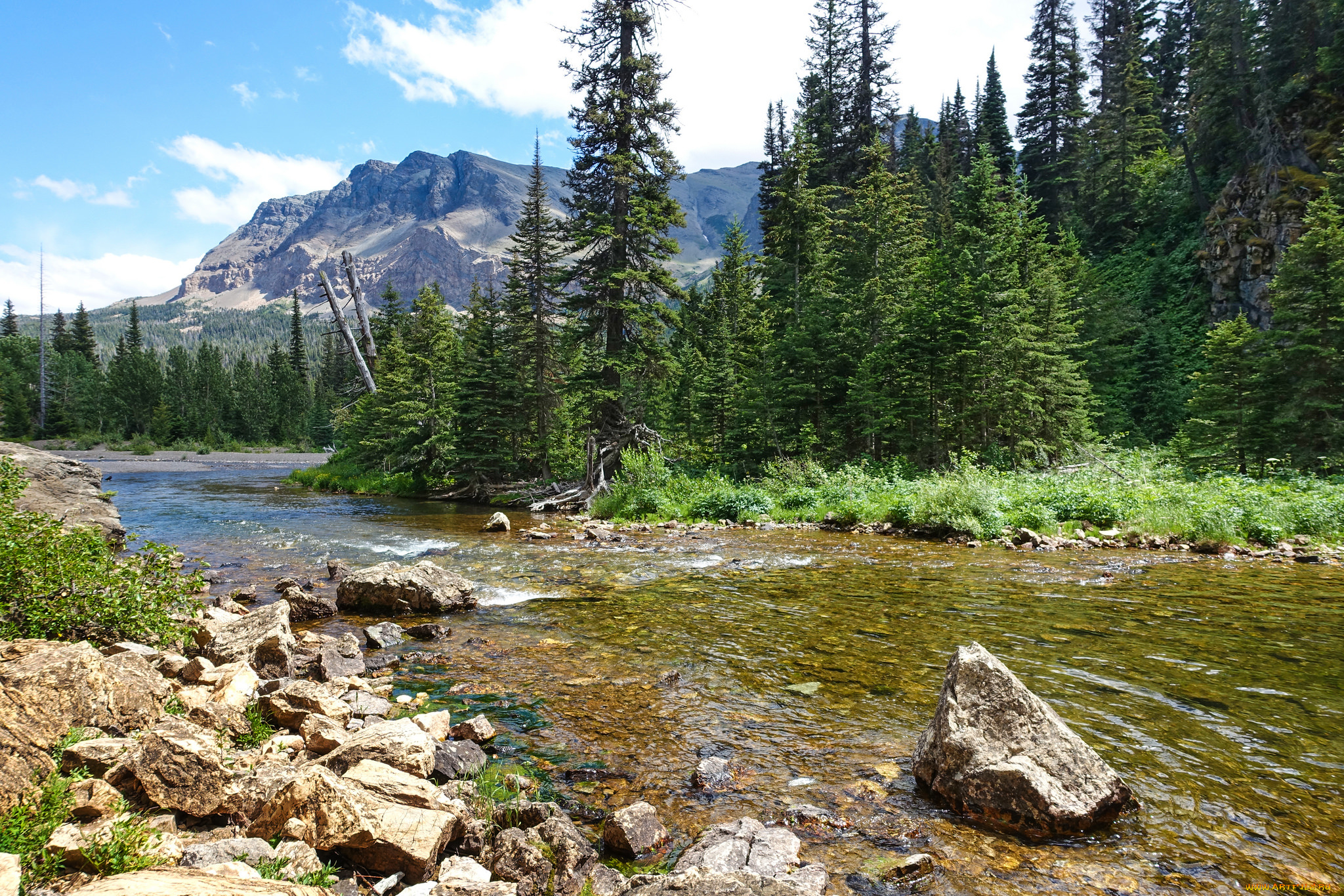 природа, реки, озера, река, лес