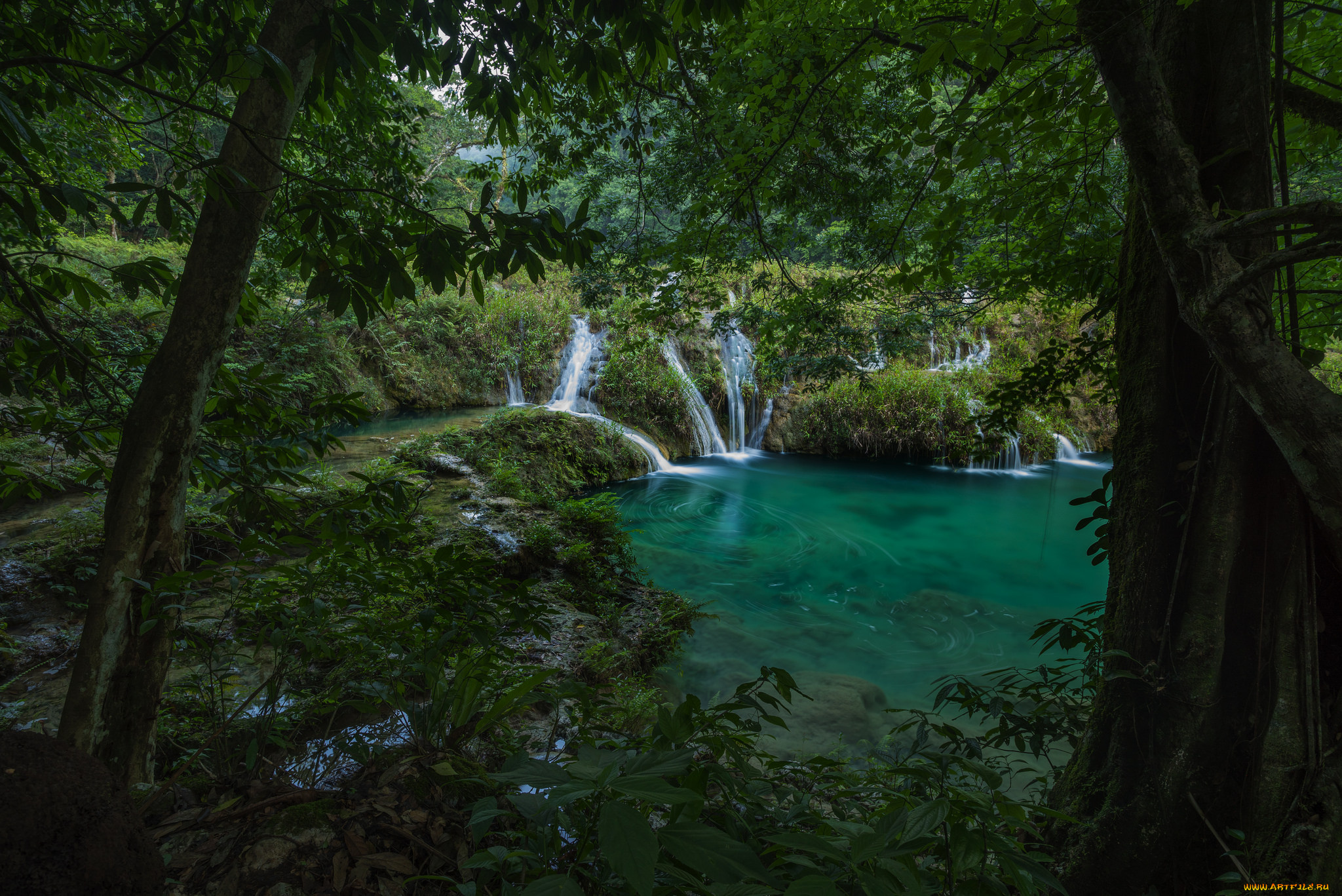 природа, реки, озера, лес, река