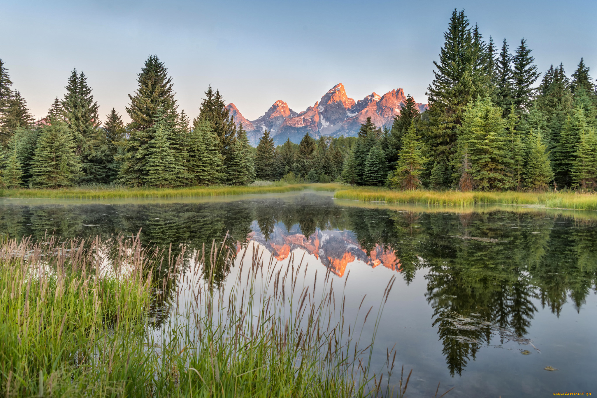 природа, реки, озера, река, лес