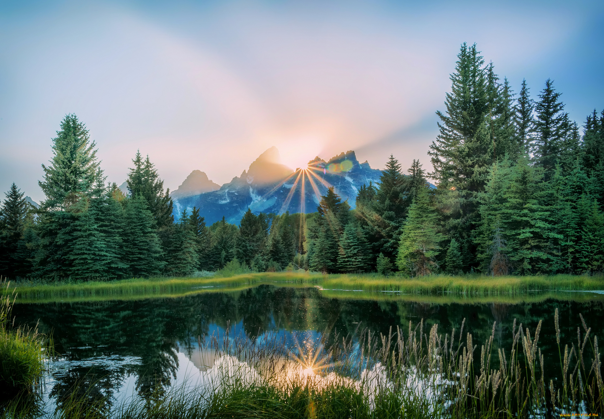 природа, реки, озера, река, лес