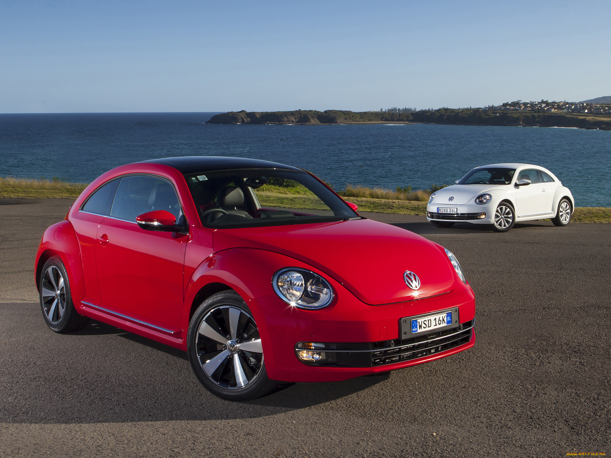 автомобили, volkswagen, au-spec, beetle