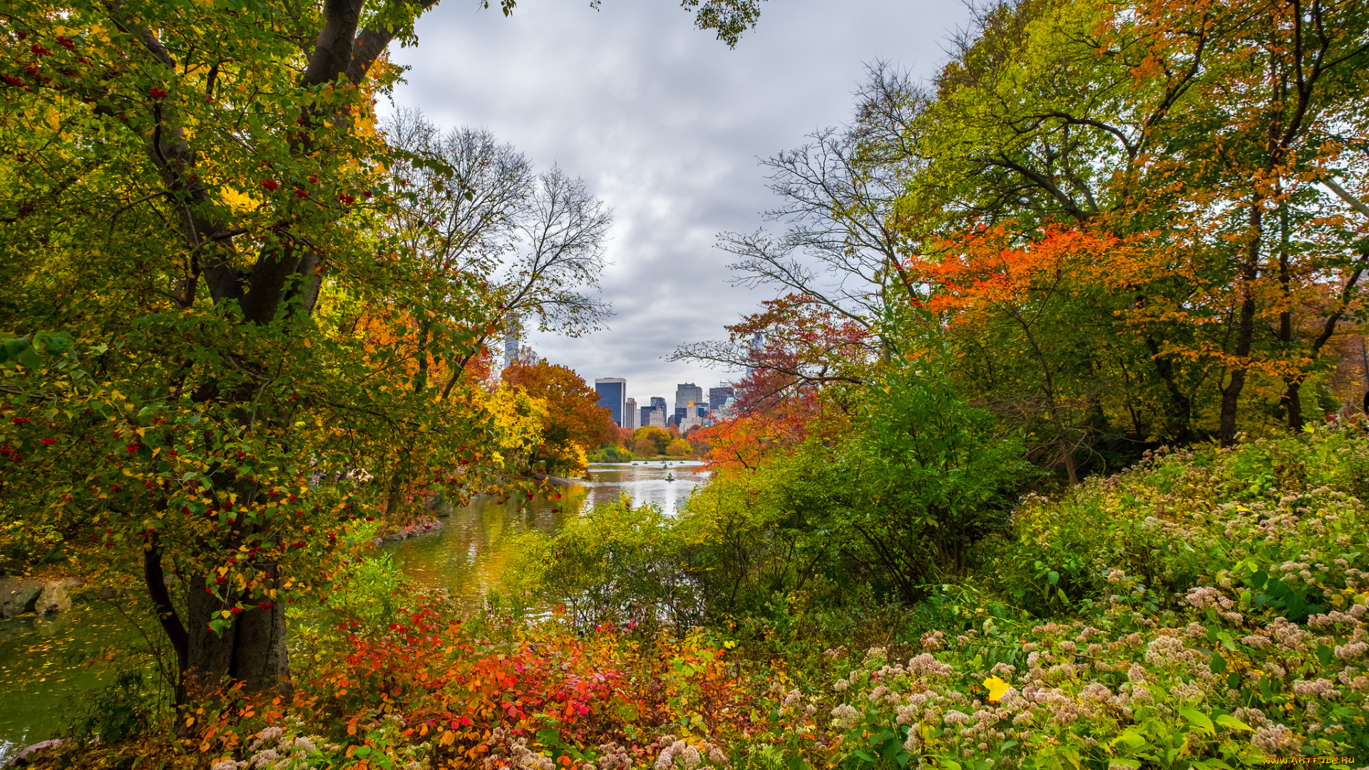 autumn, in, ny, города, -, пейзажи, простор