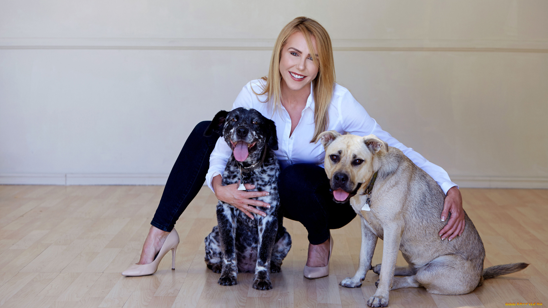 девушки, holly, randall, holly, randall