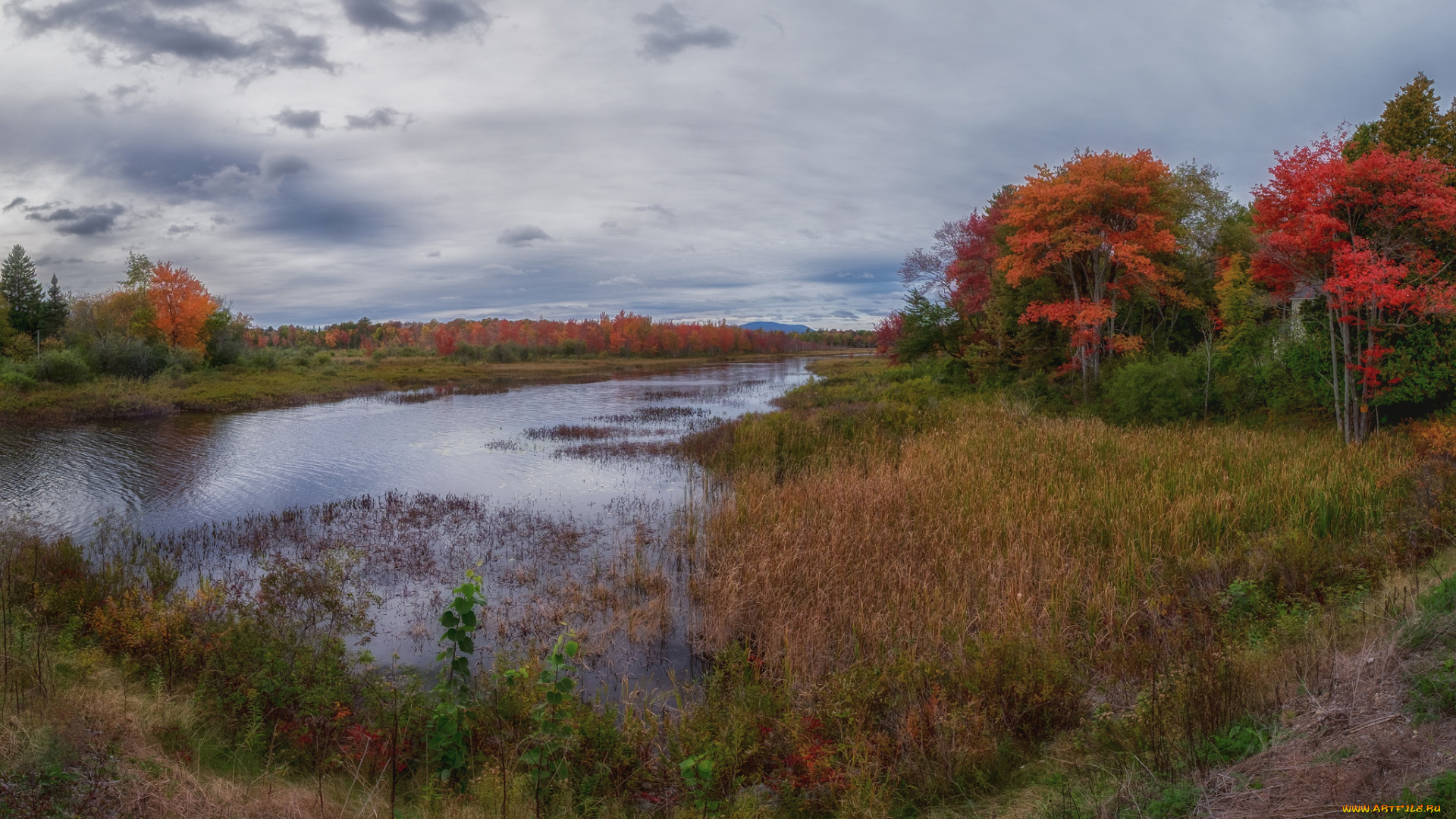 природа, реки, озера, простор