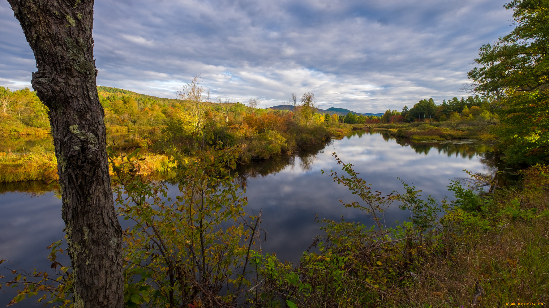 природа, реки, озера, простор