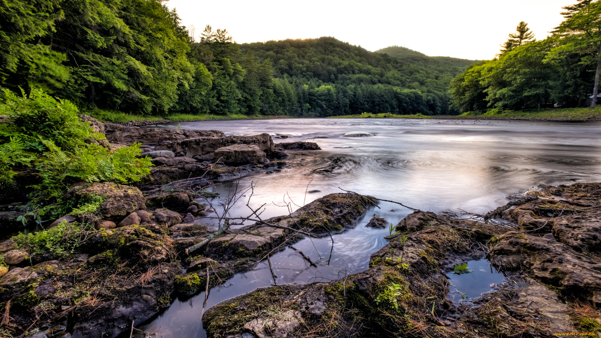 природа, реки, озера, простор