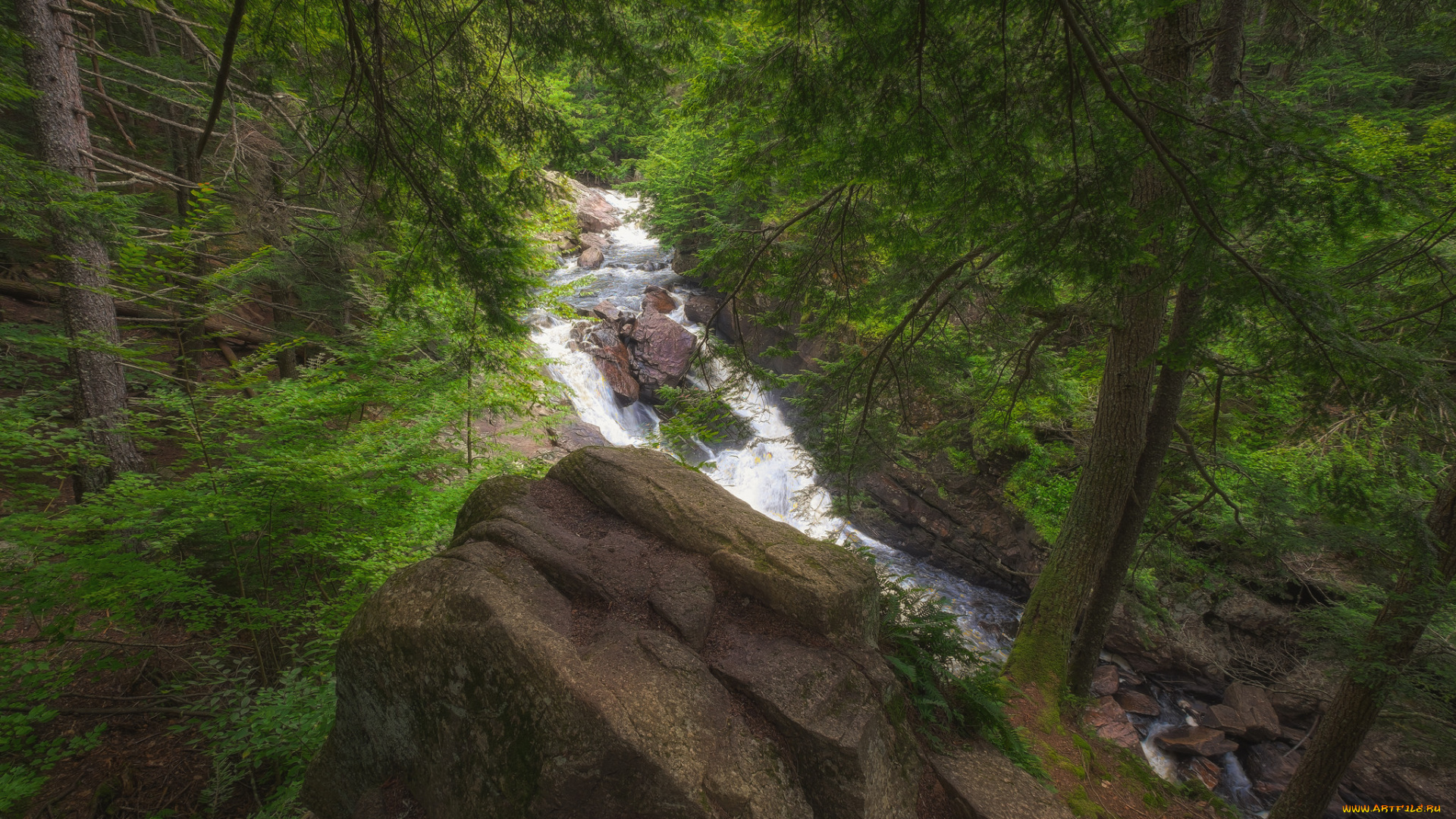 природа, реки, озера, простор