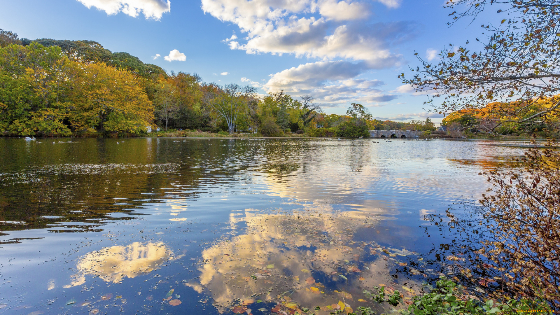 природа, реки, озера, простор