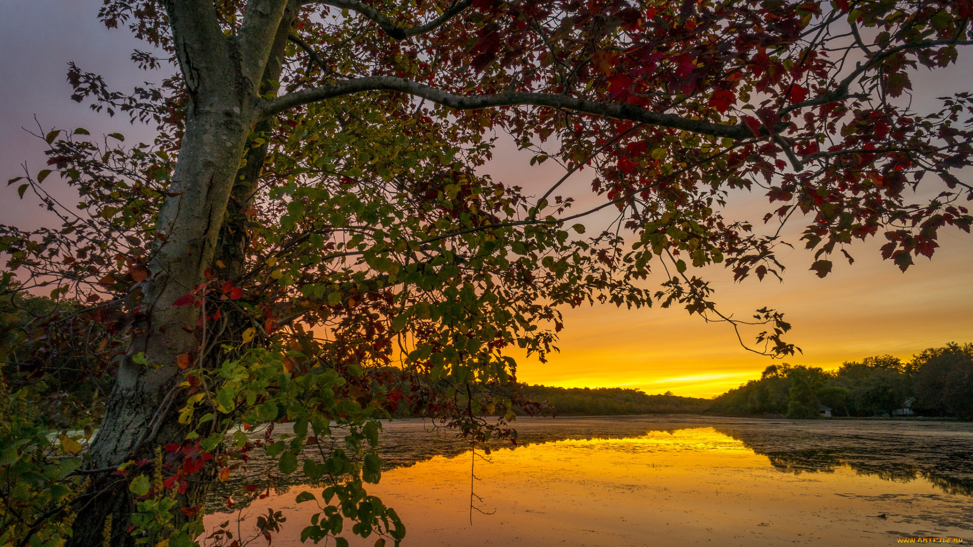 природа, реки, озера, простор