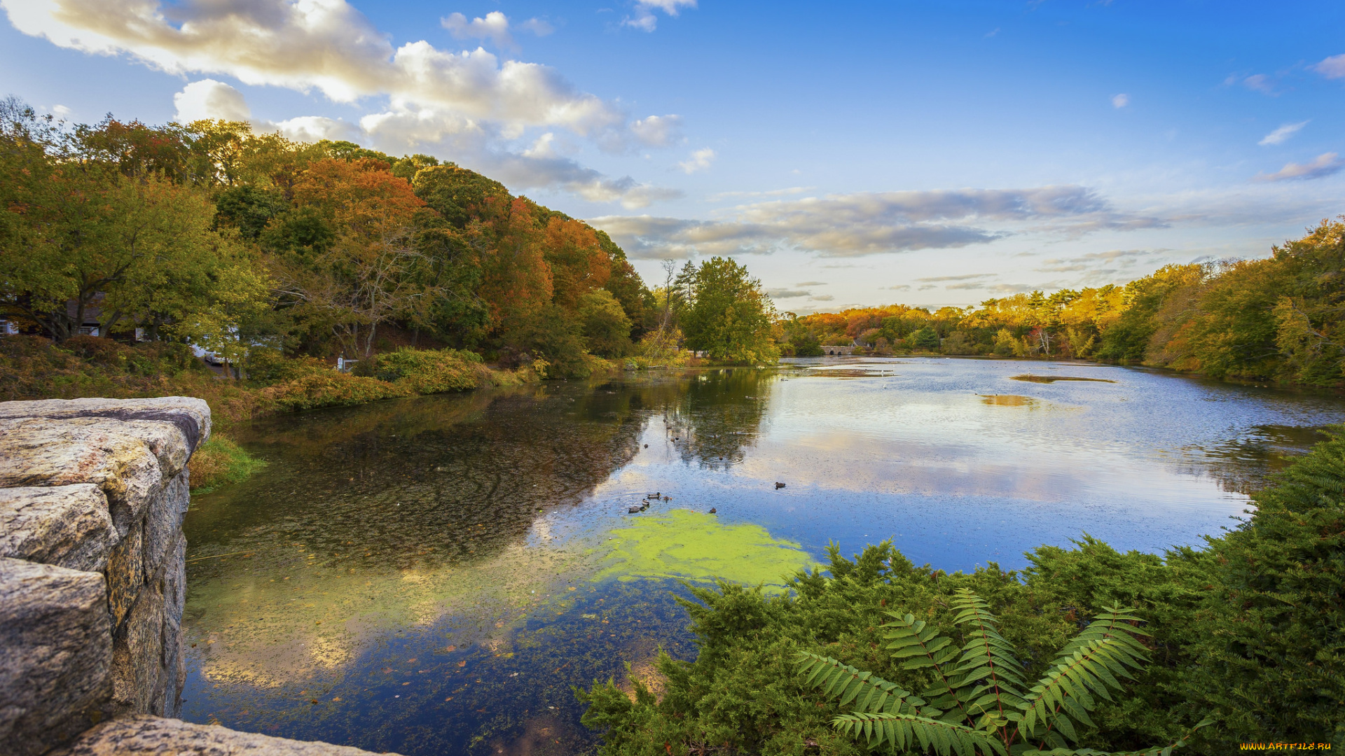 природа, реки, озера, простор