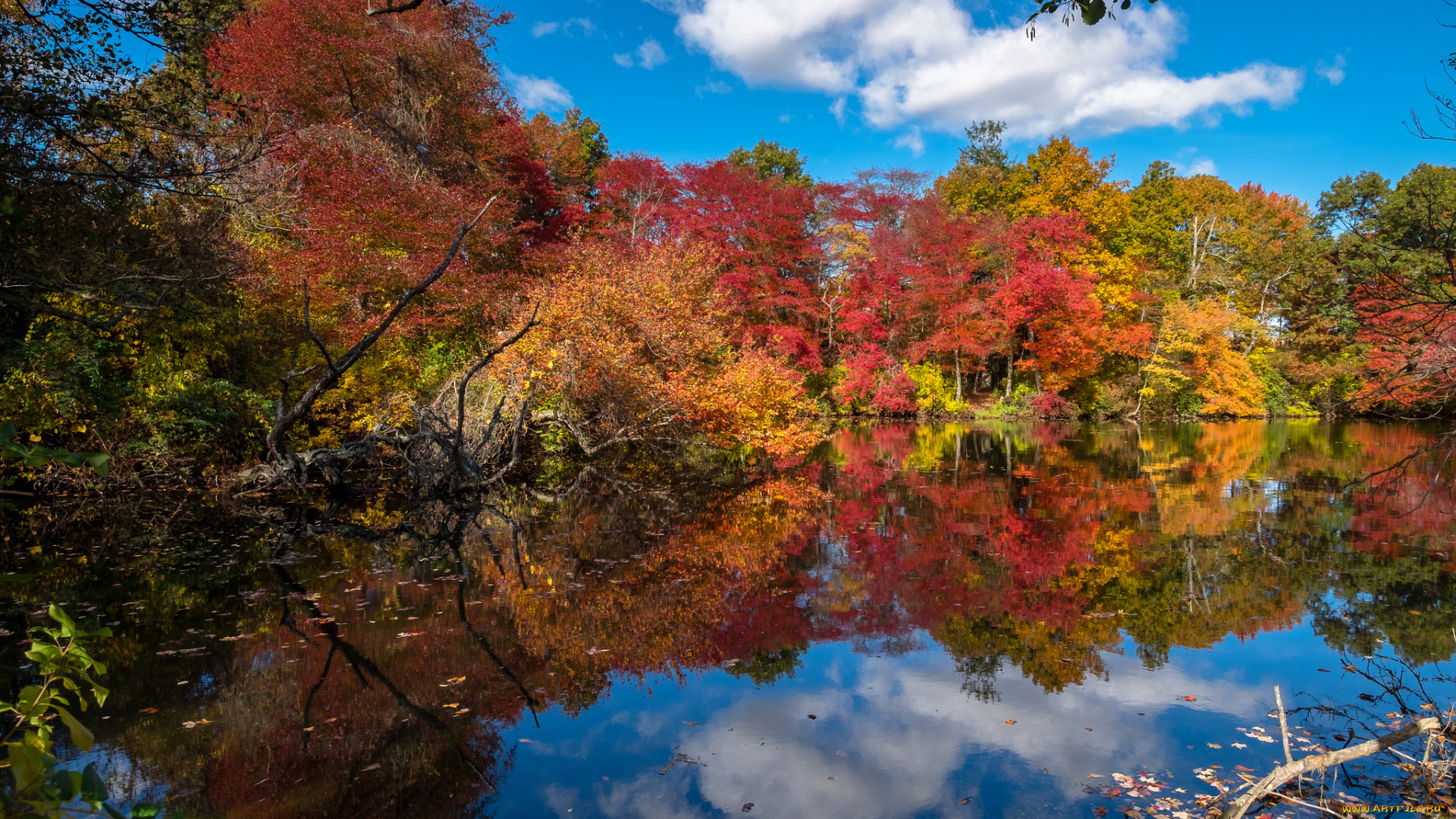 природа, реки, озера, простор