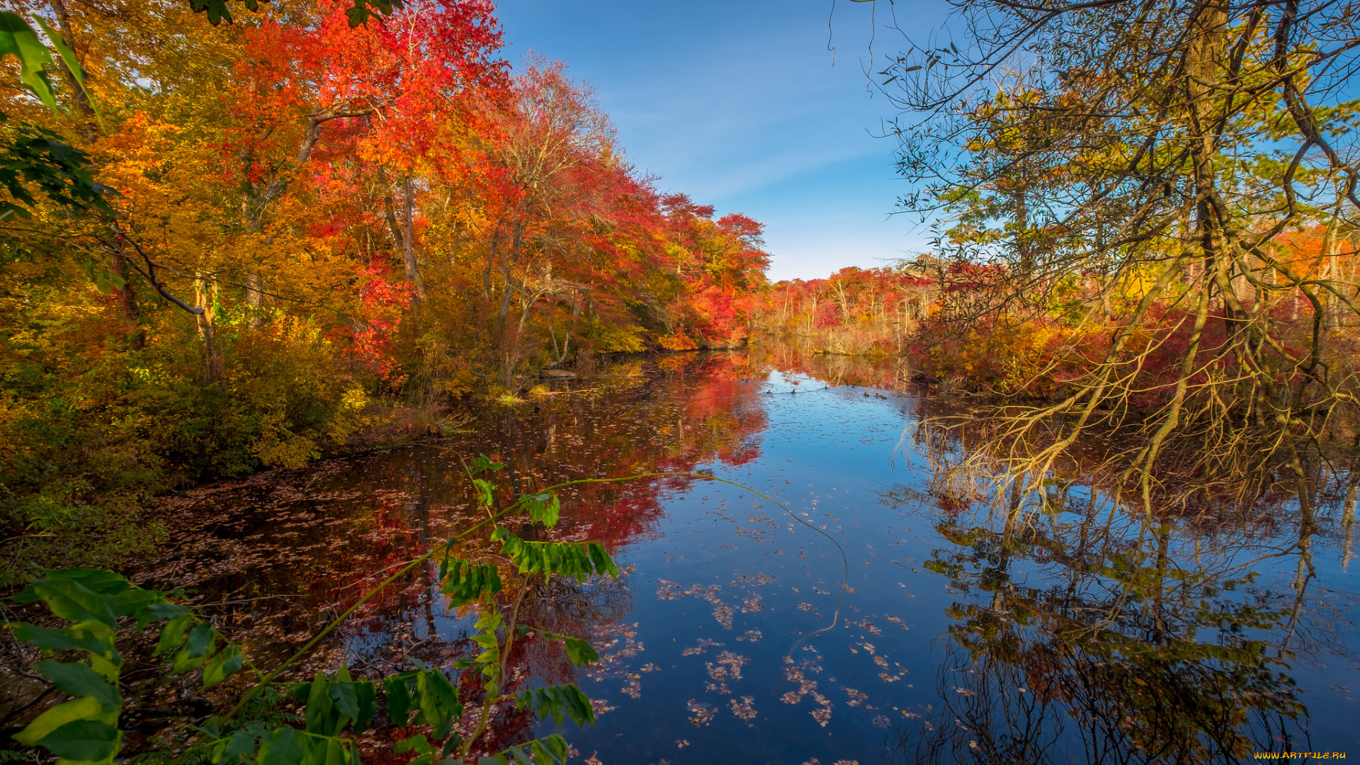 природа, реки, озера, простор