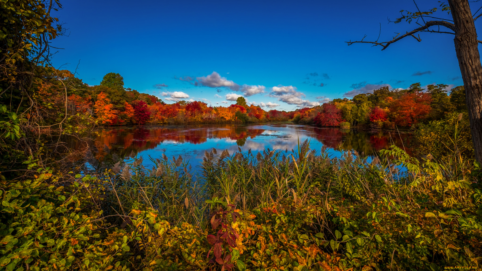 природа, реки, озера, простор