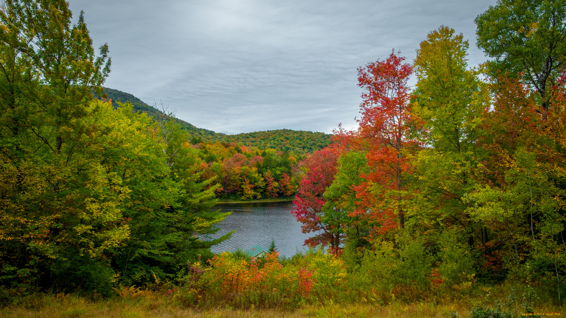 природа, реки, озера, простор