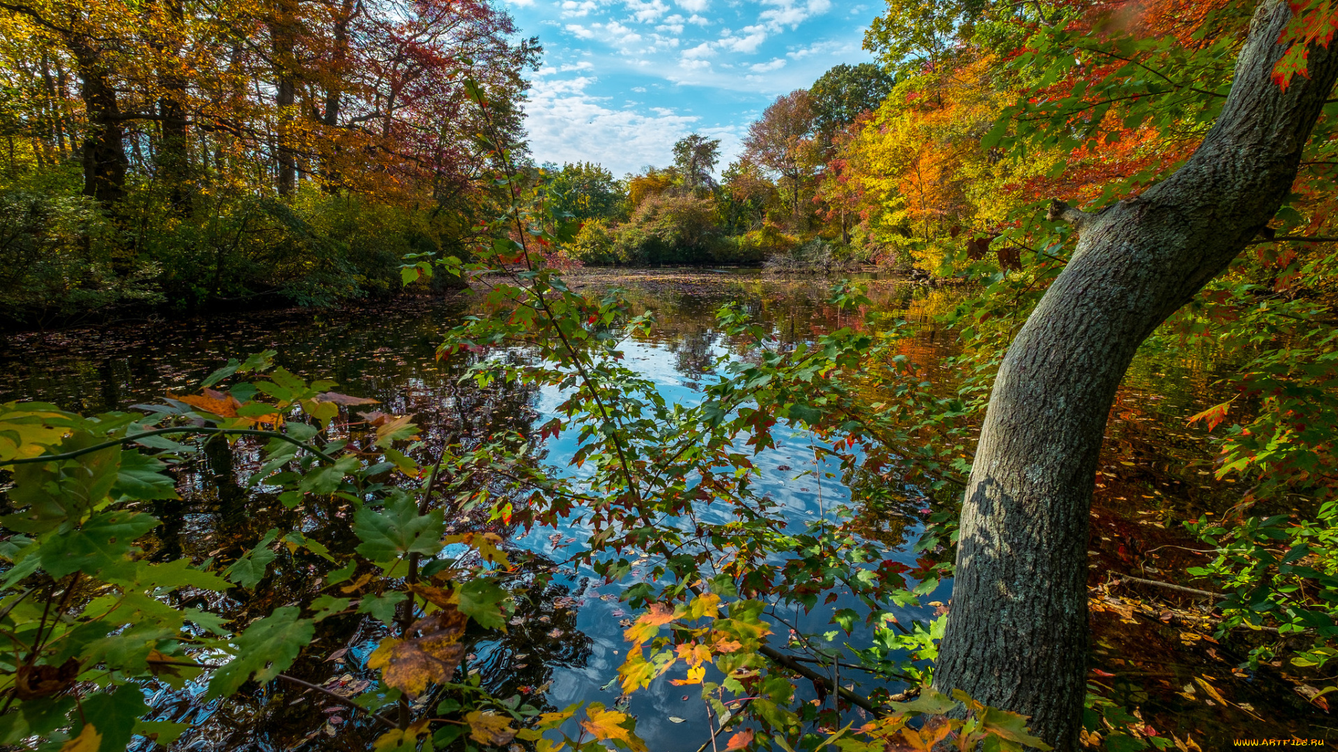 природа, реки, озера, простор
