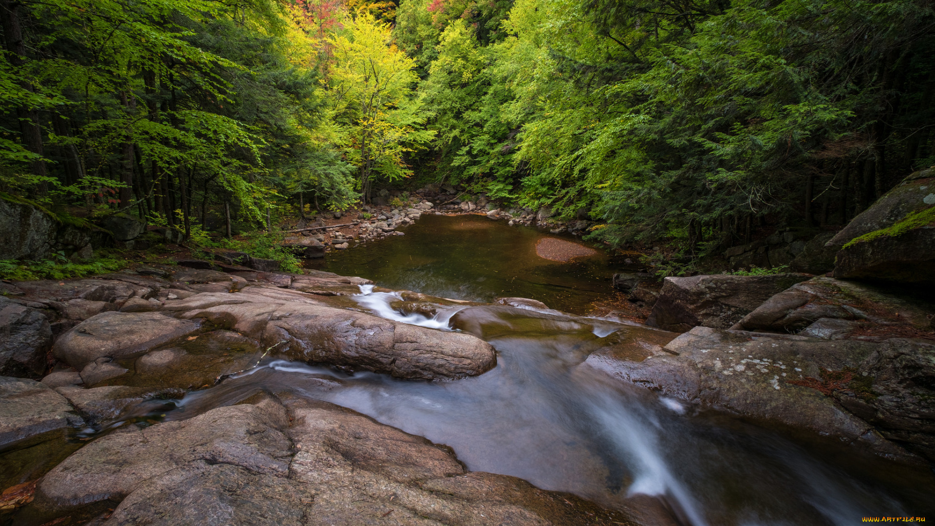 природа, реки, озера, простор