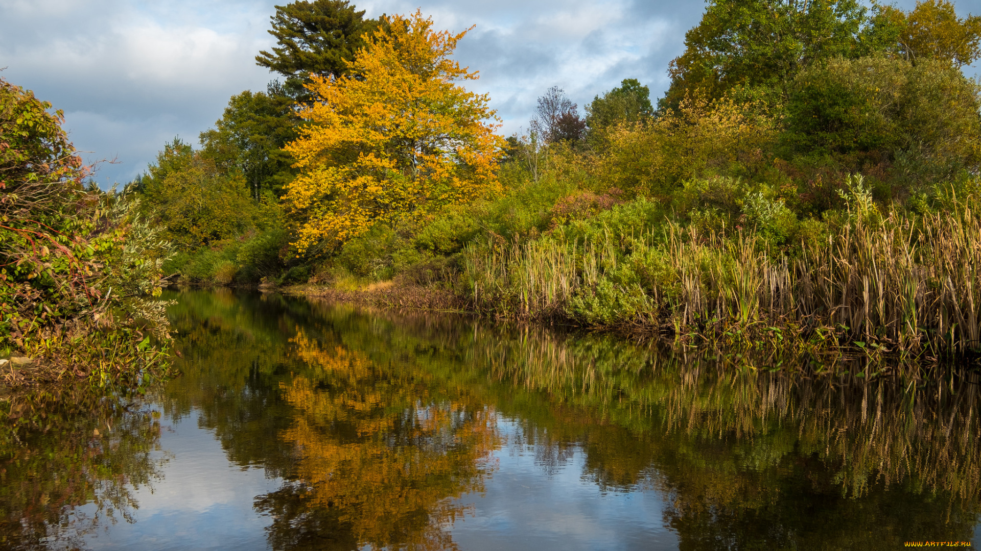 природа, реки, озера, простор
