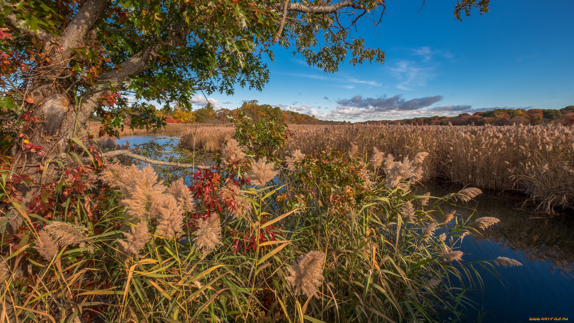 природа, реки, озера, простор