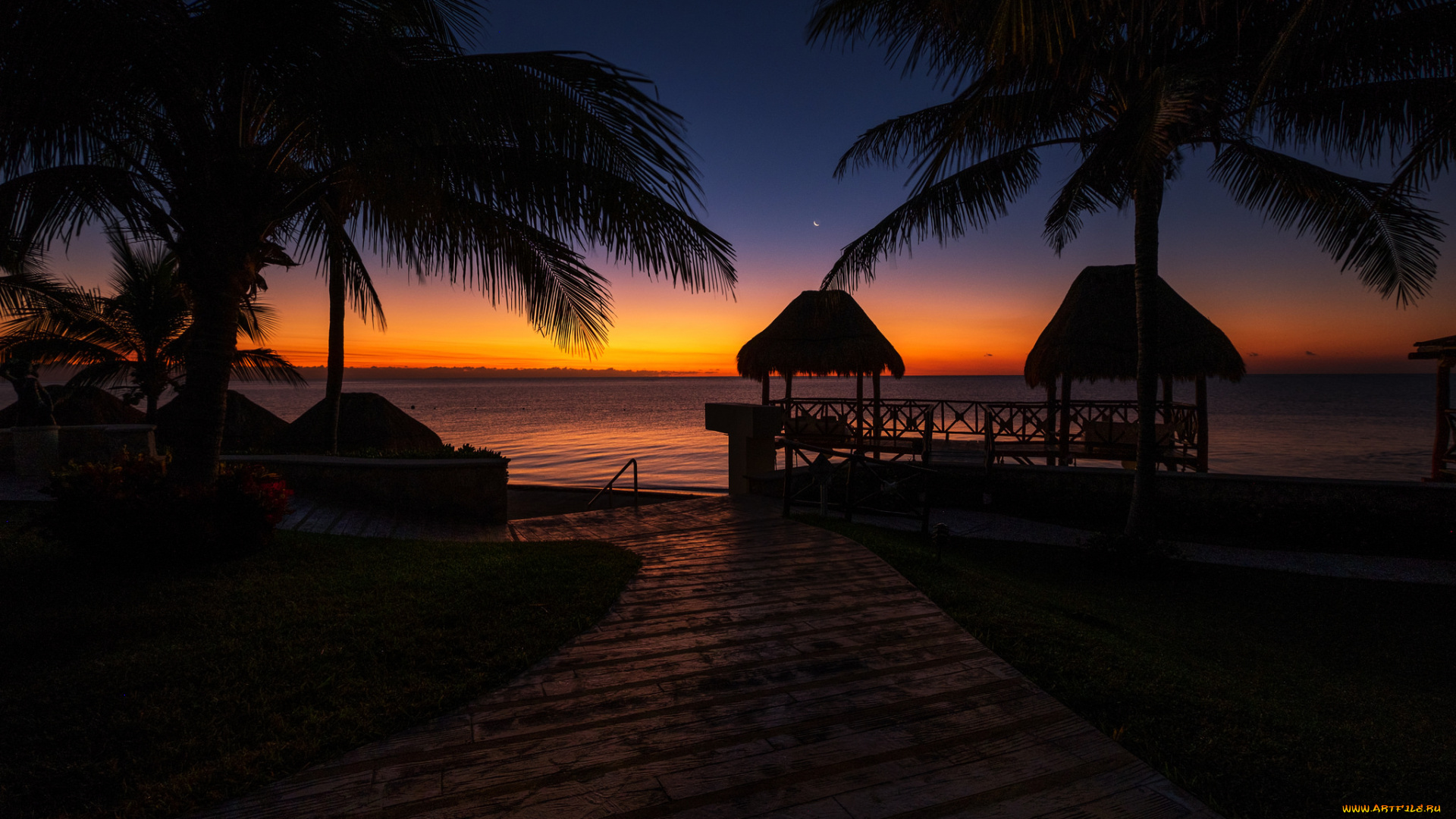 природа, тропики, простор