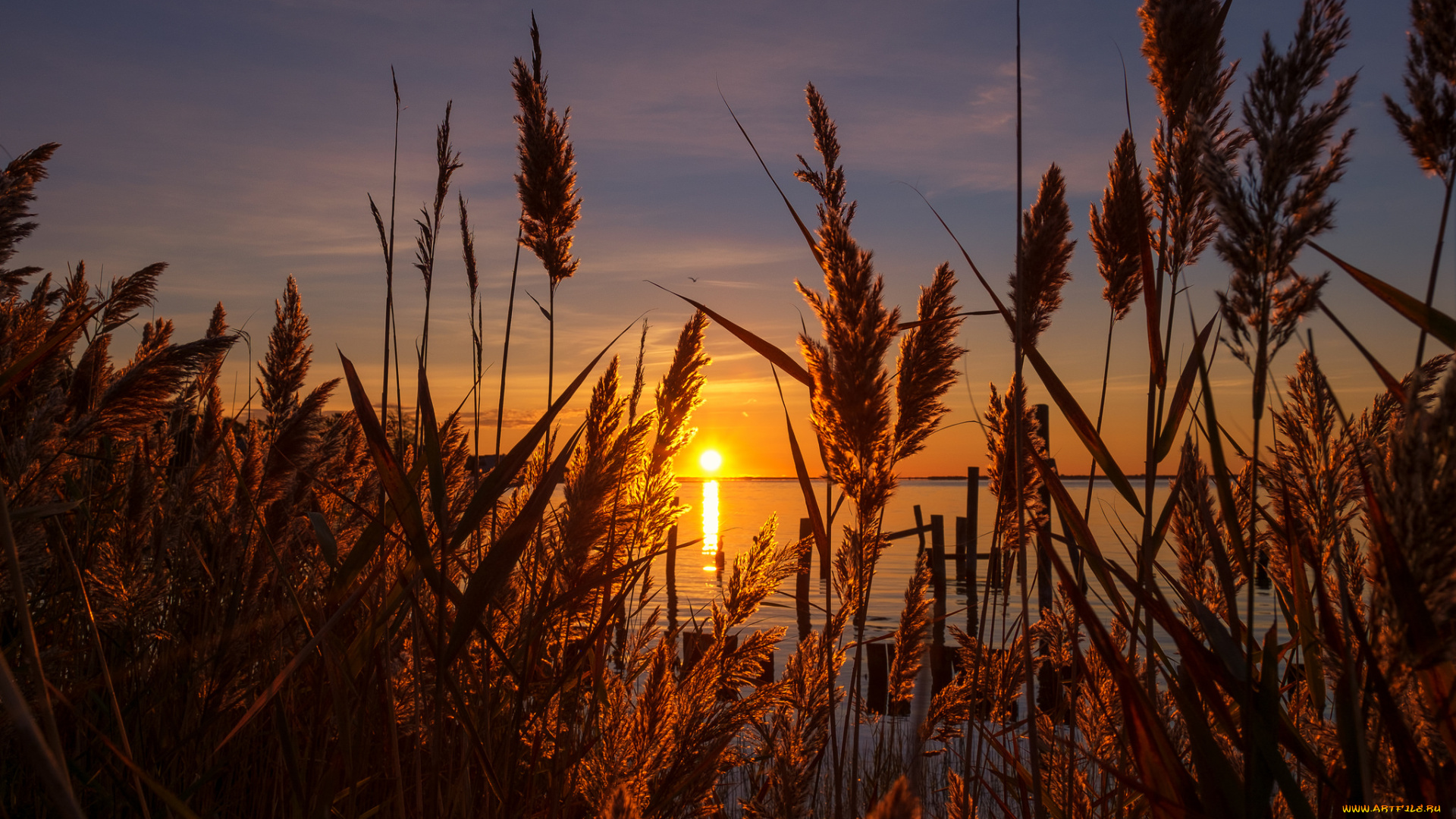 природа, восходы, закаты, рассвет