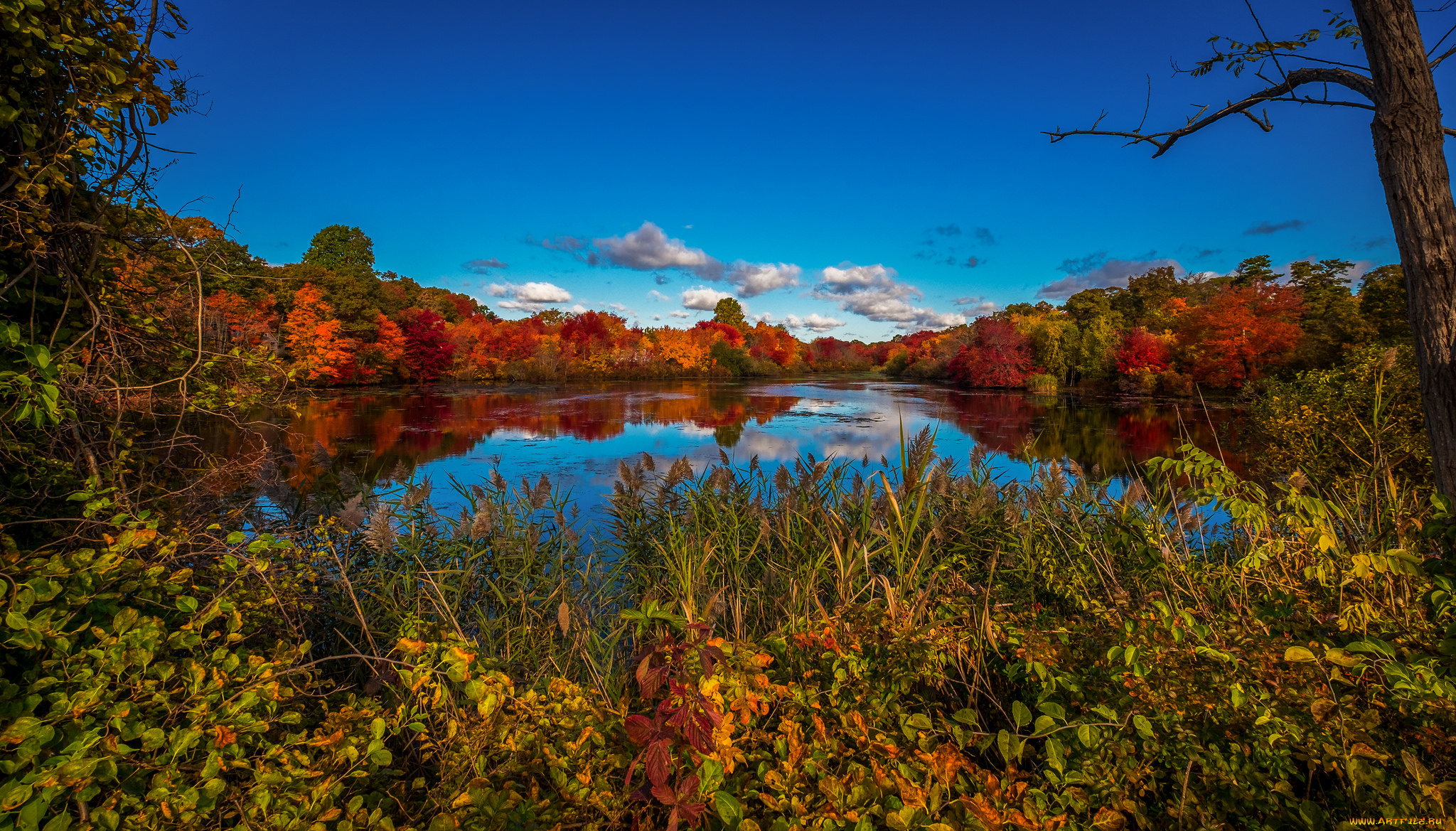 природа, реки, озера, простор