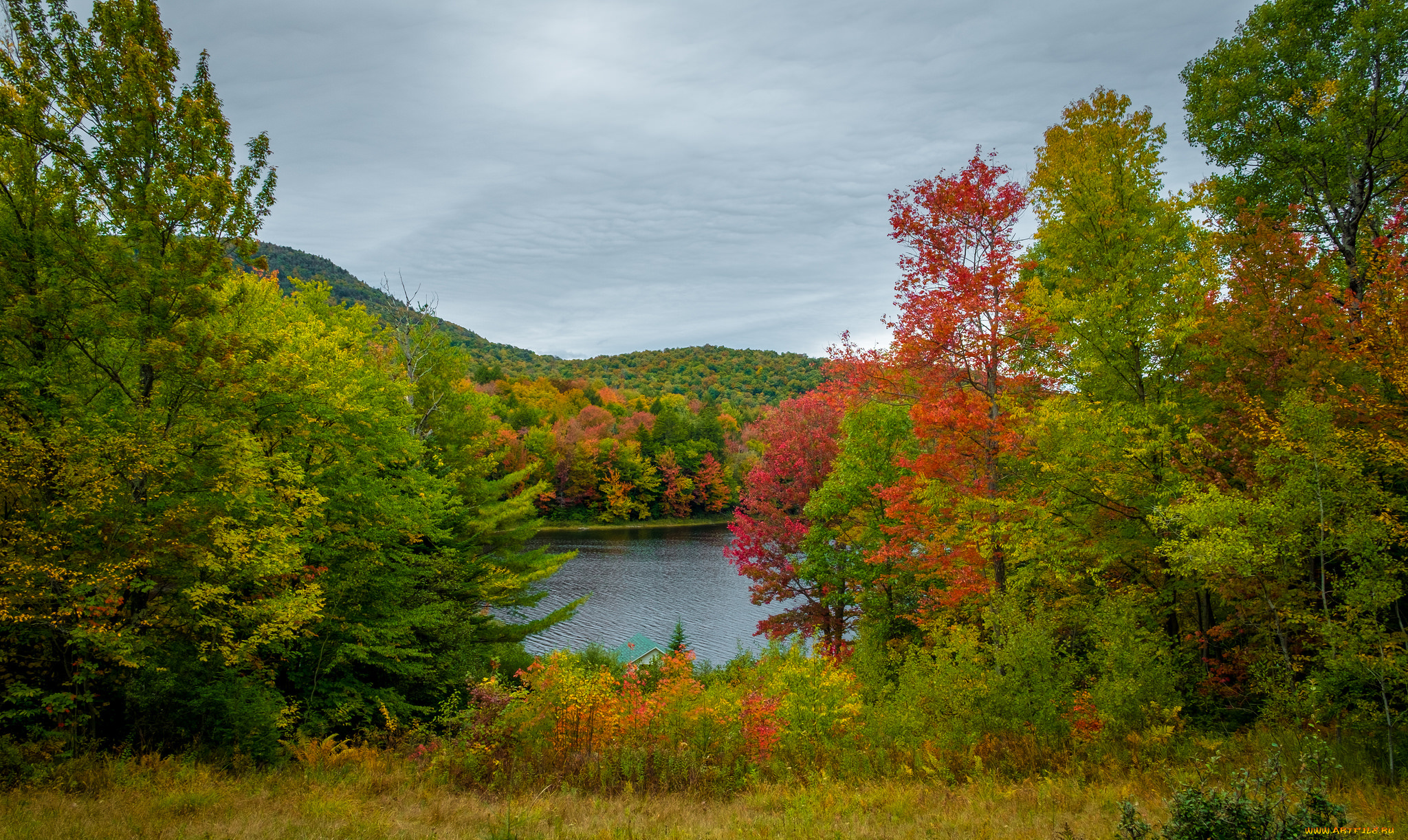 природа, реки, озера, простор