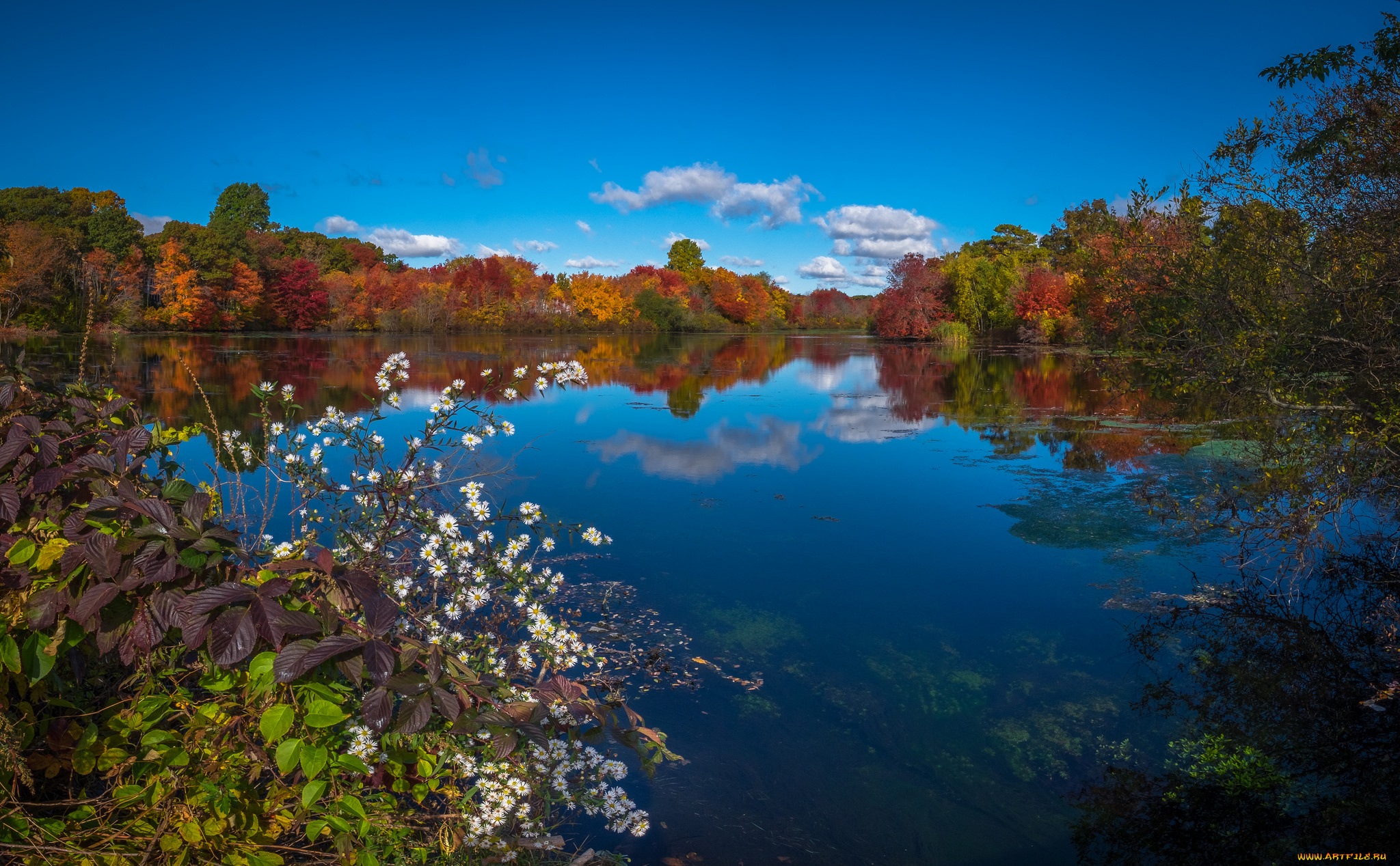 природа, реки, озера, простор