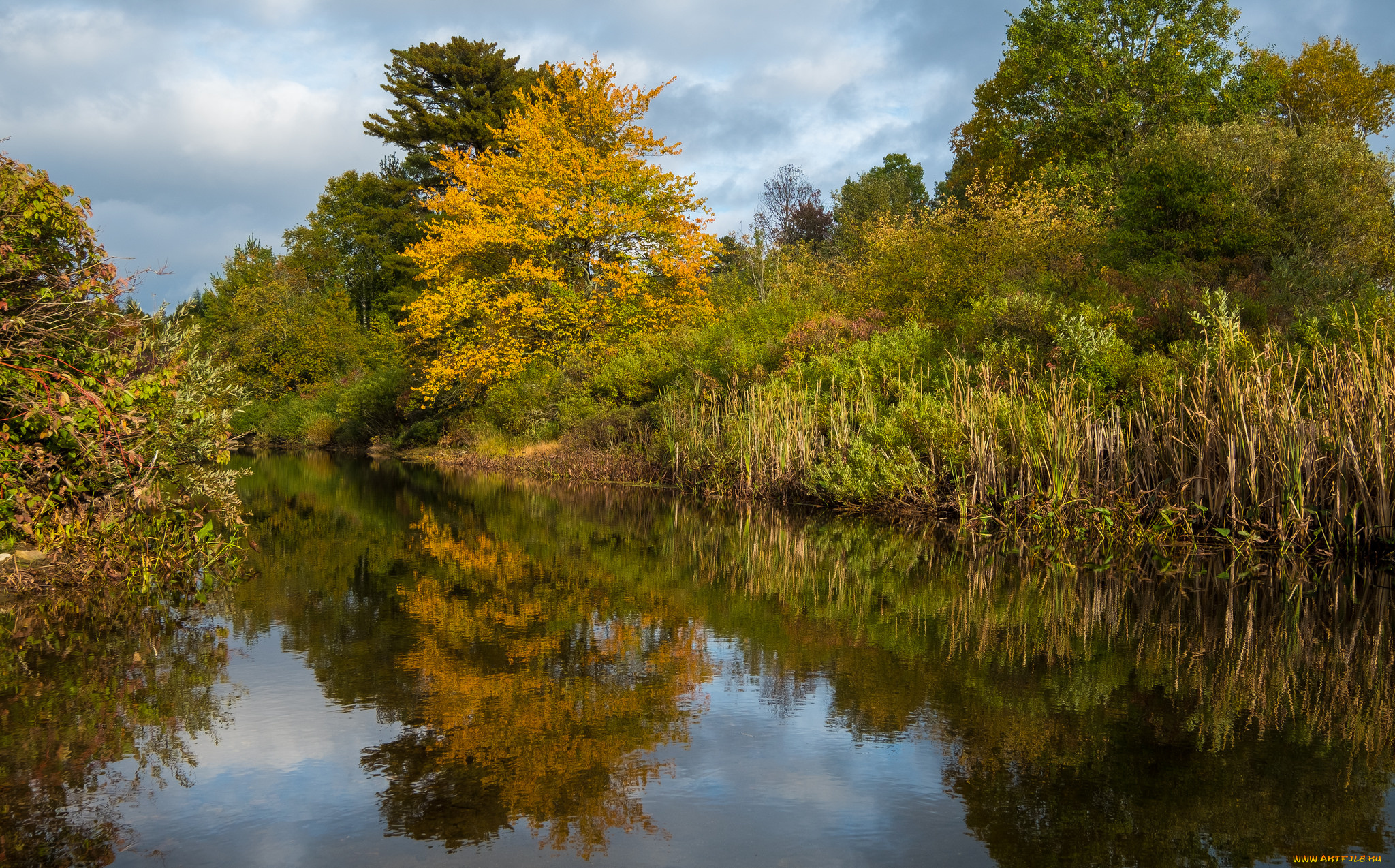 природа, реки, озера, простор