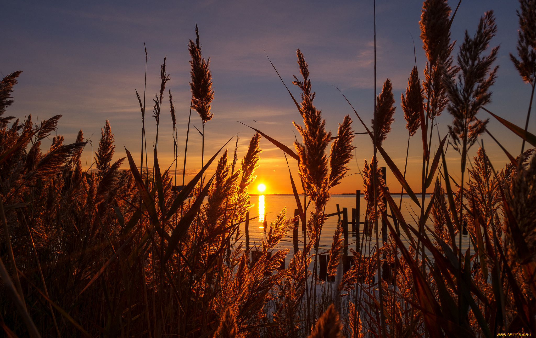 природа, восходы, закаты, рассвет