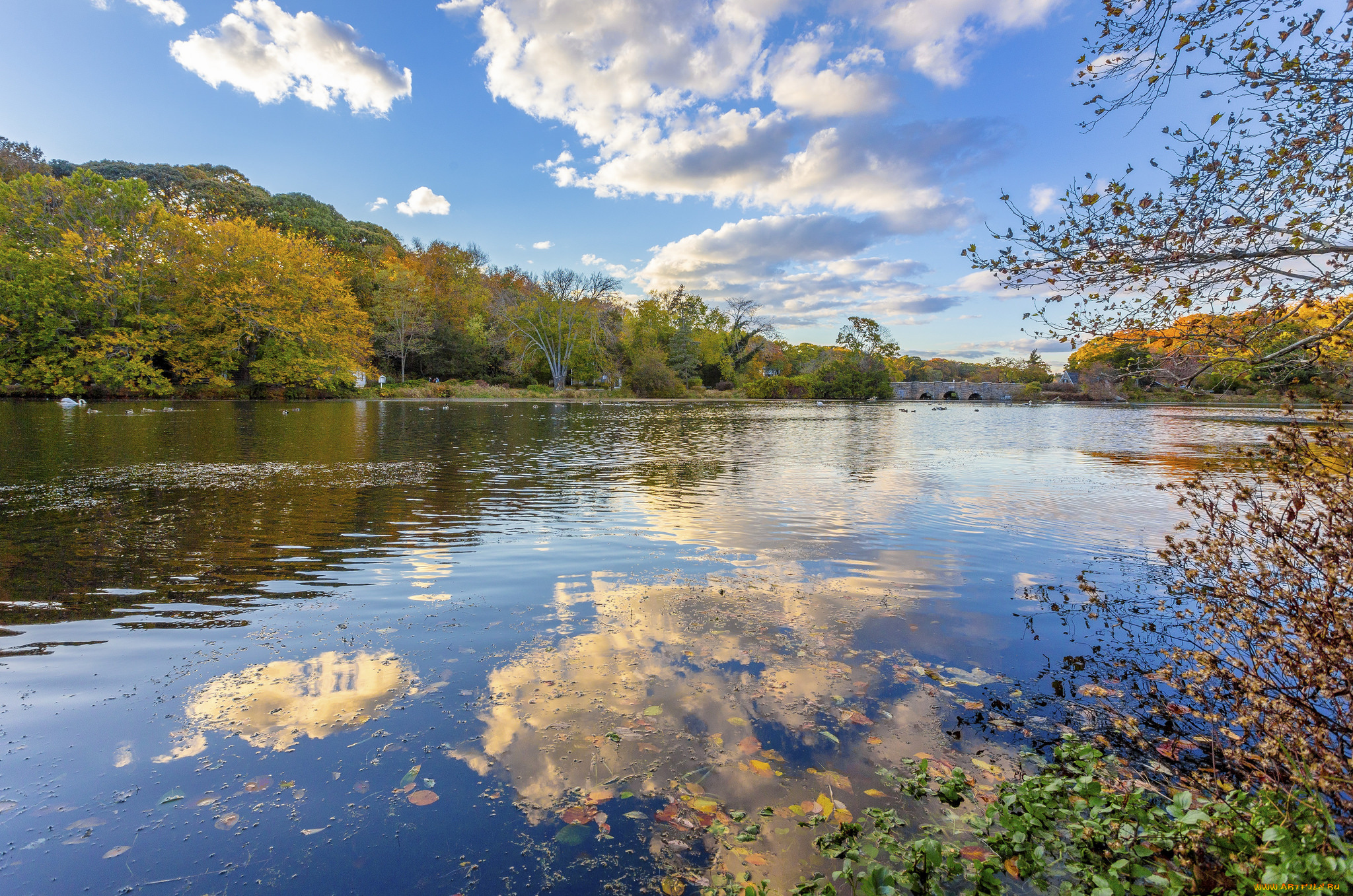 природа, реки, озера, простор